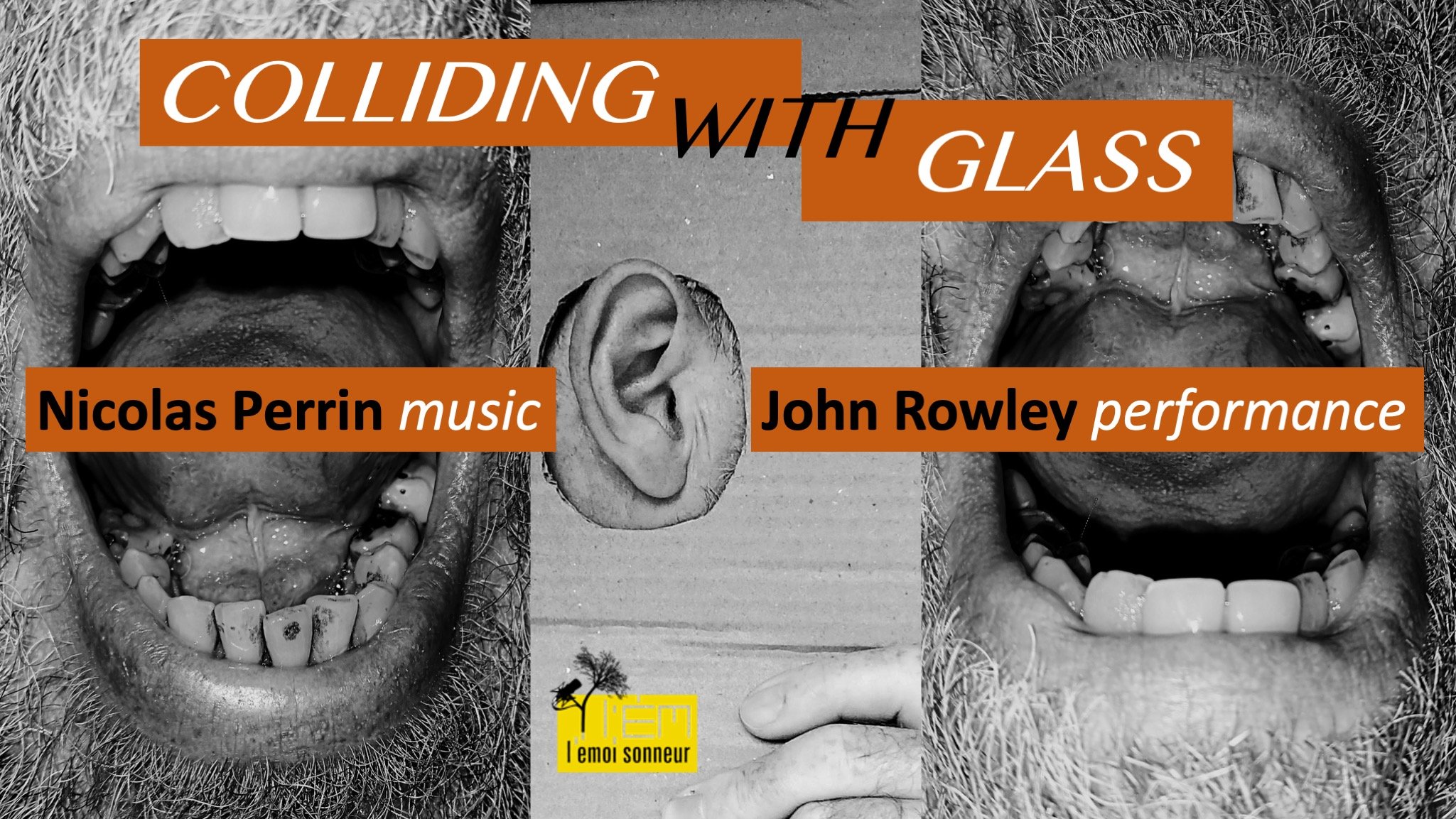 COLLIDING WITH GLASS.jpeg