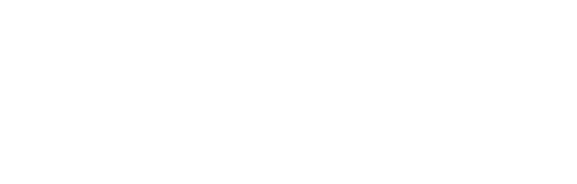 LSU Logo