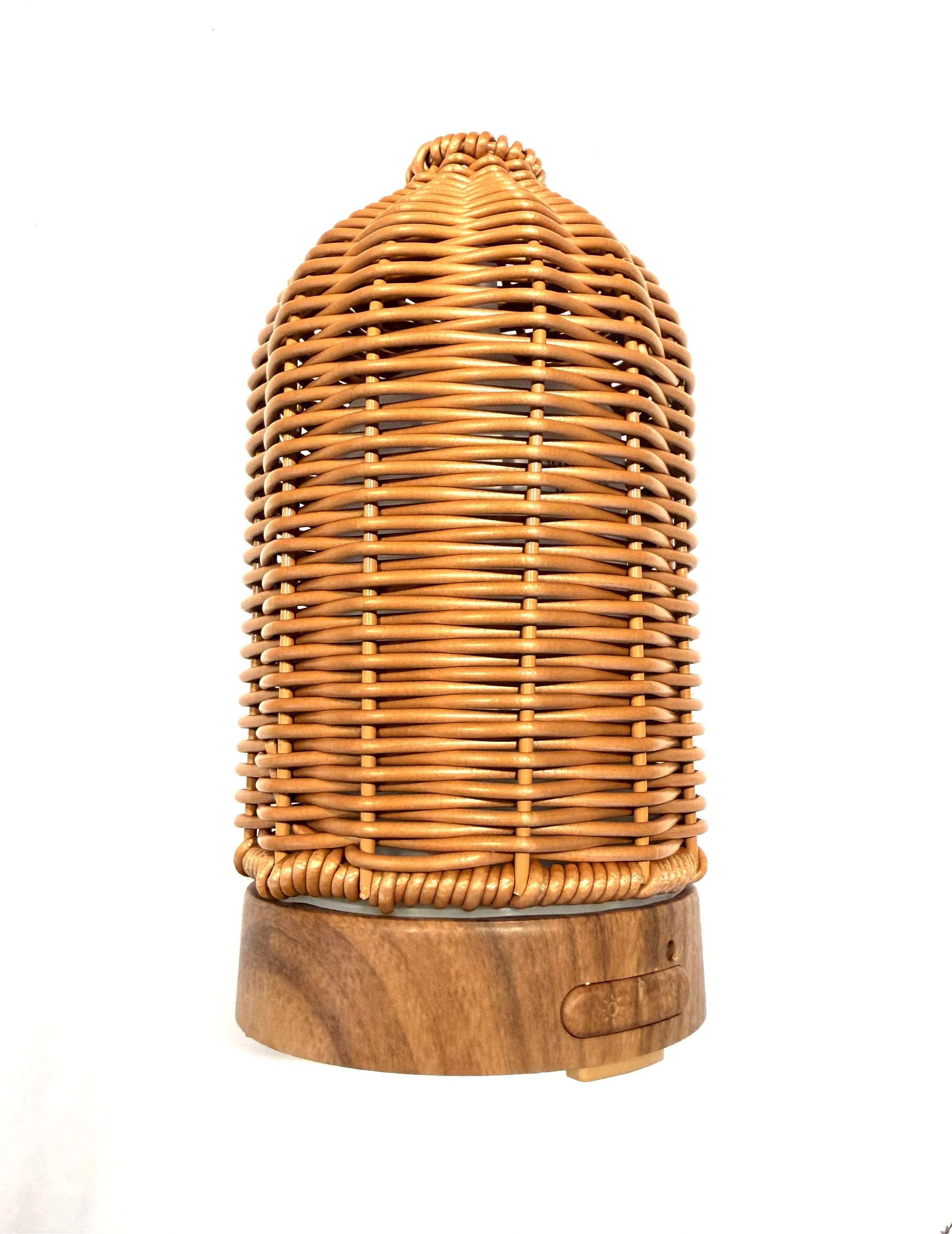 IMG_5582.jpeg (Copy)