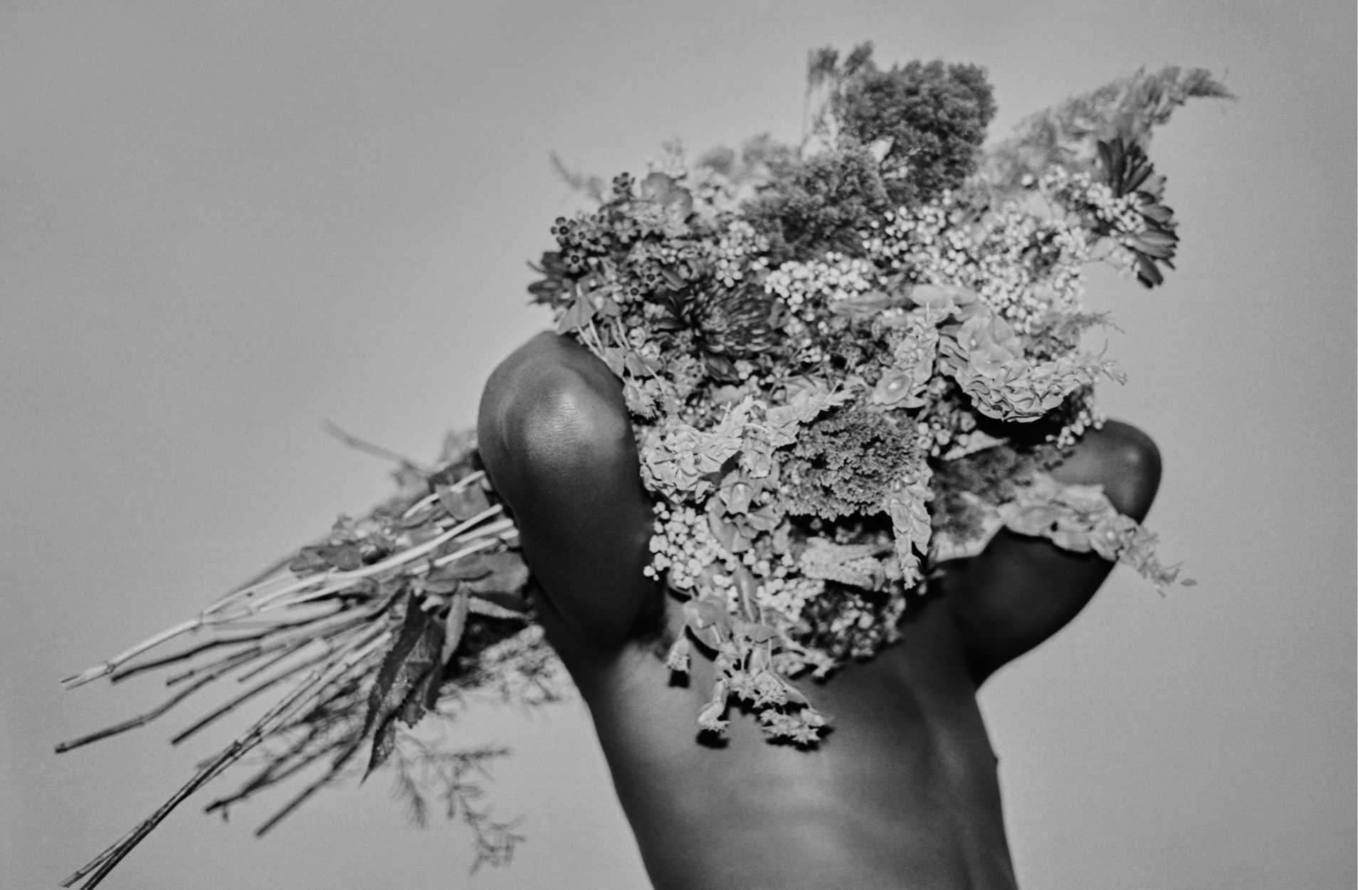 A hand holding a bunch of flowers and herbs, with a plain background.