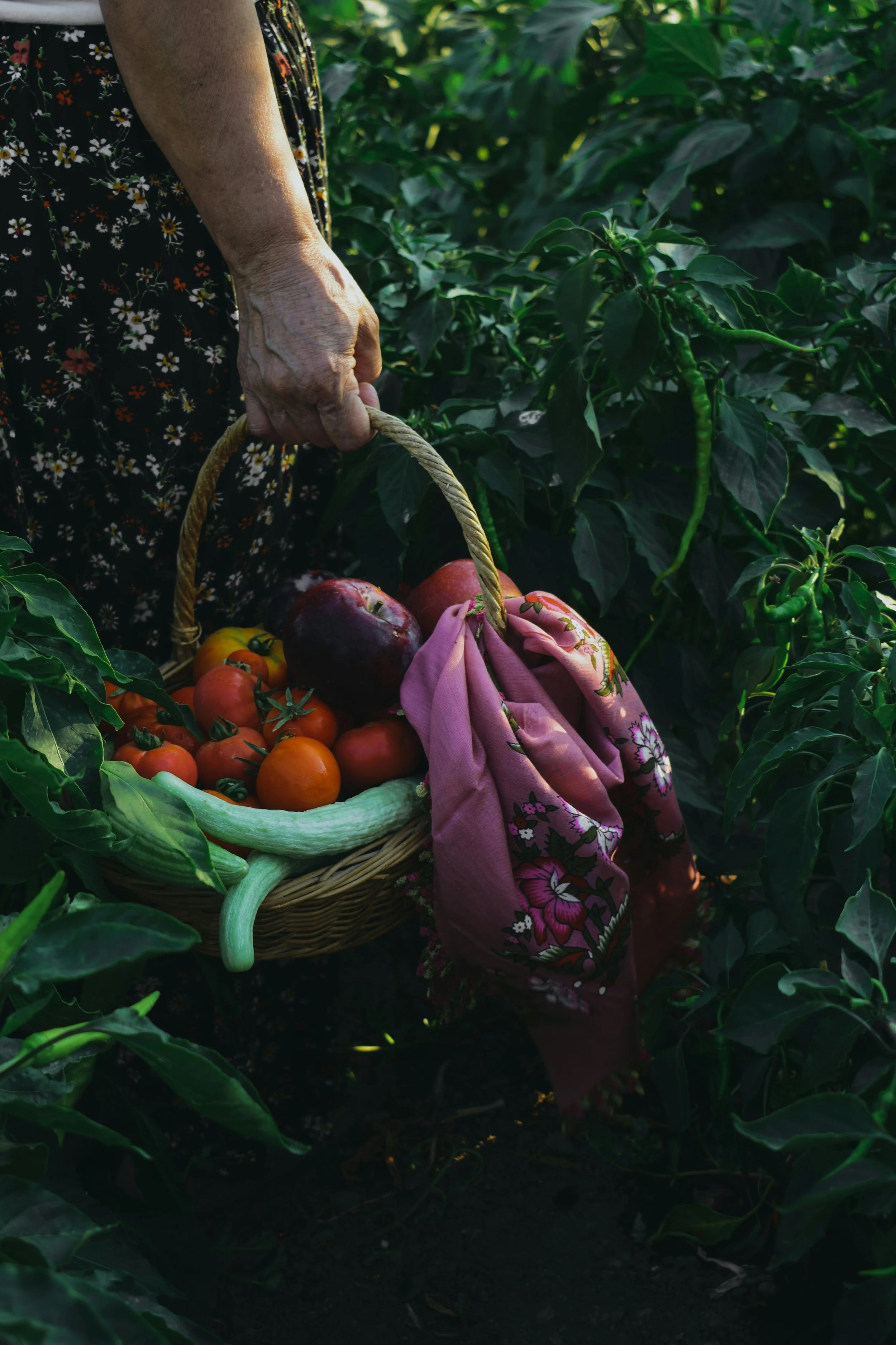 Basket filled with fresh vegetables and a patterned scarf, highlighting nourishment and natural living in Katy Bradbury’s approach to health