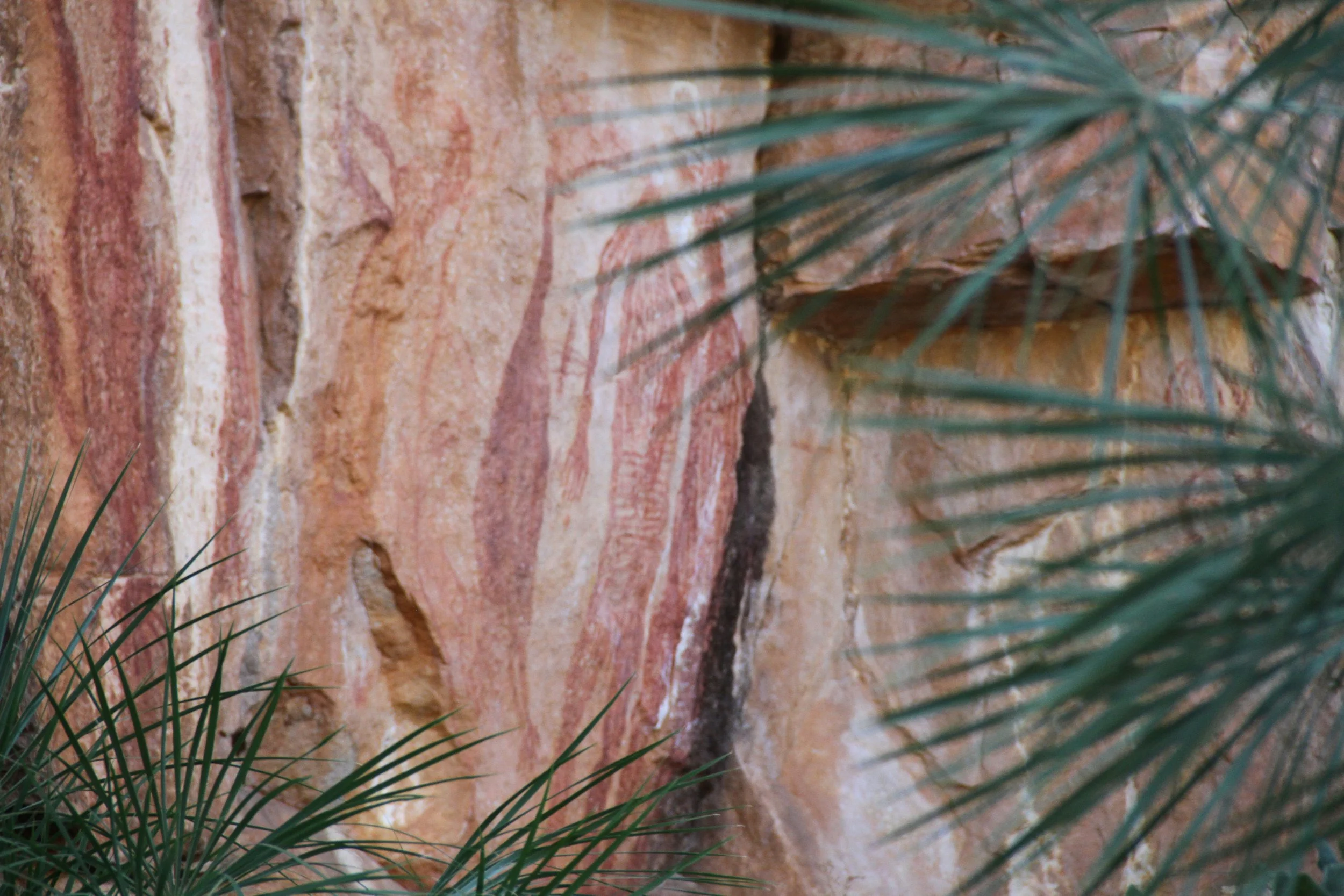 Close-up of a colorful rock wall with green palm leaves in the foreground.