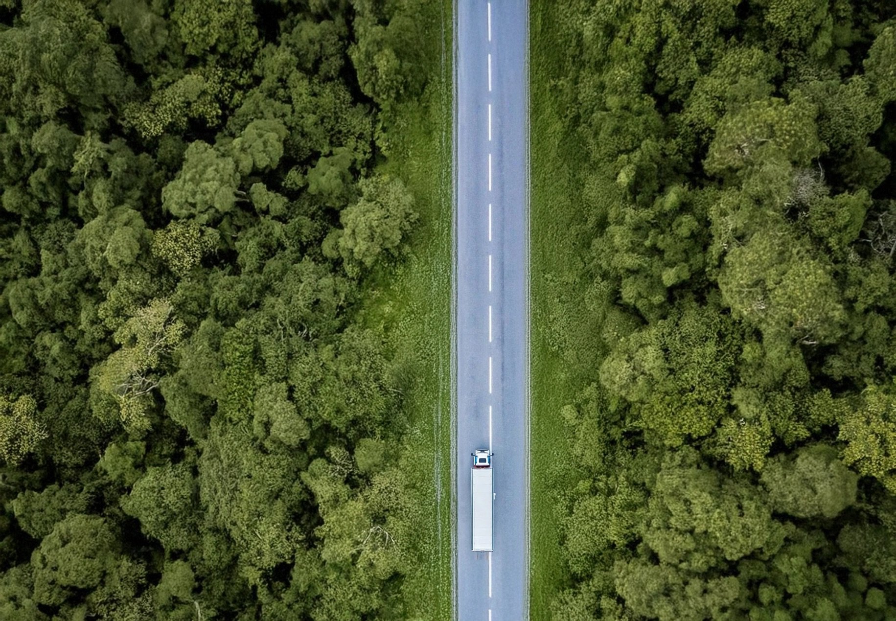 An aerial view of a single gray car driving on a narrow paved road between two large fields of crops, with one field on the left and another on the right.