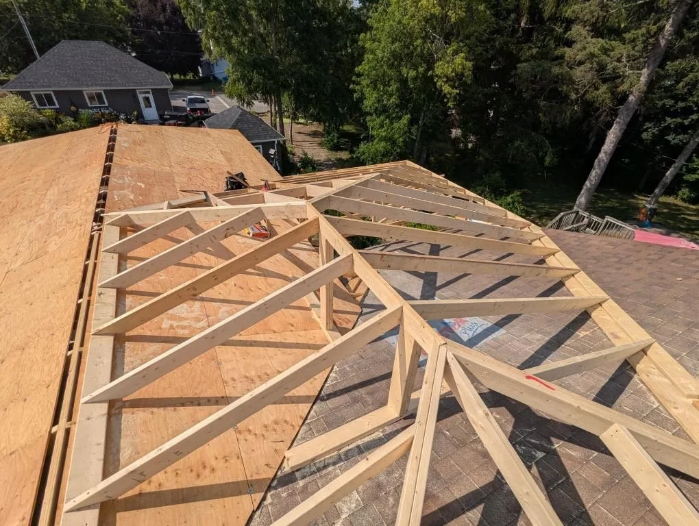 Roof framing in progress on a house, with wooden trusses and plywood sheathing, surrounded by trees and neighboring houses.