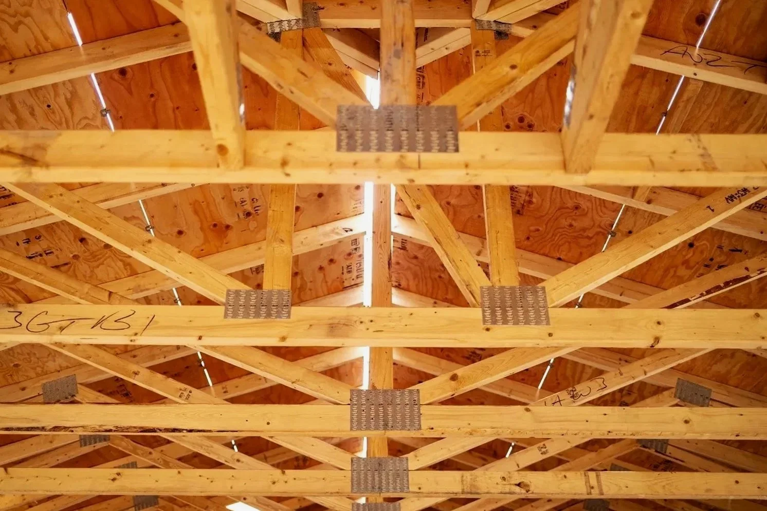 Starting framework of a building with wooden beams and support plates, showing the roof structure from below.