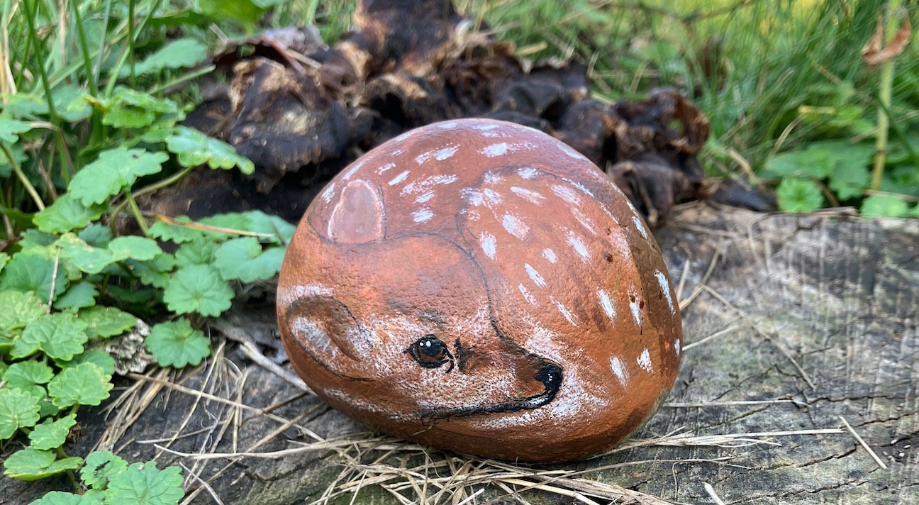 FIGHT, FLIGHT, FAWN, OR FREEZE: A Place for Pollinators &amp; Me