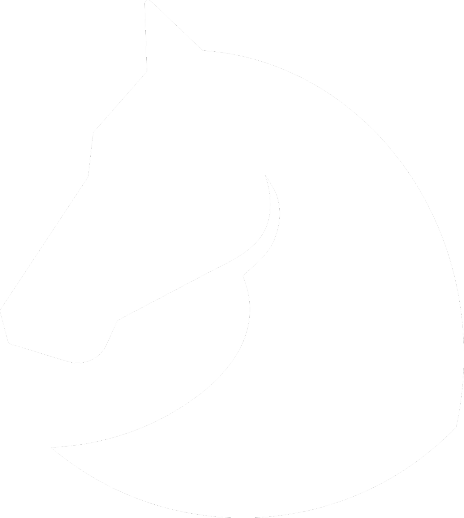 Envy Saddles