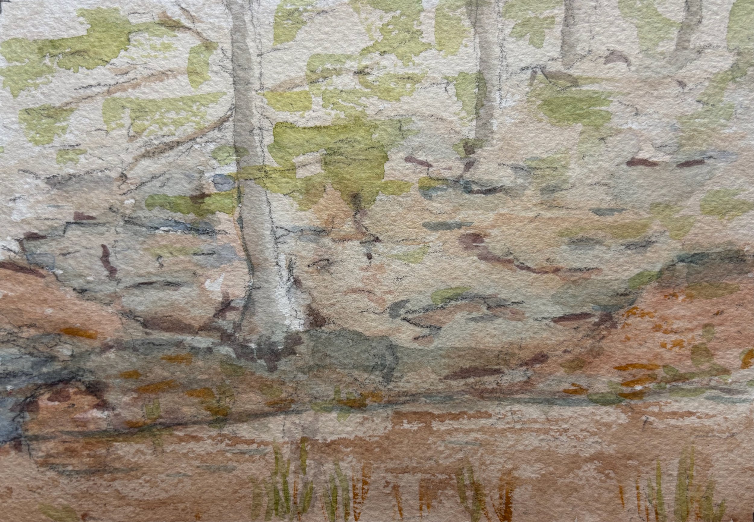 Take it to the Bank 5x7 watercolor for sale.jpeg