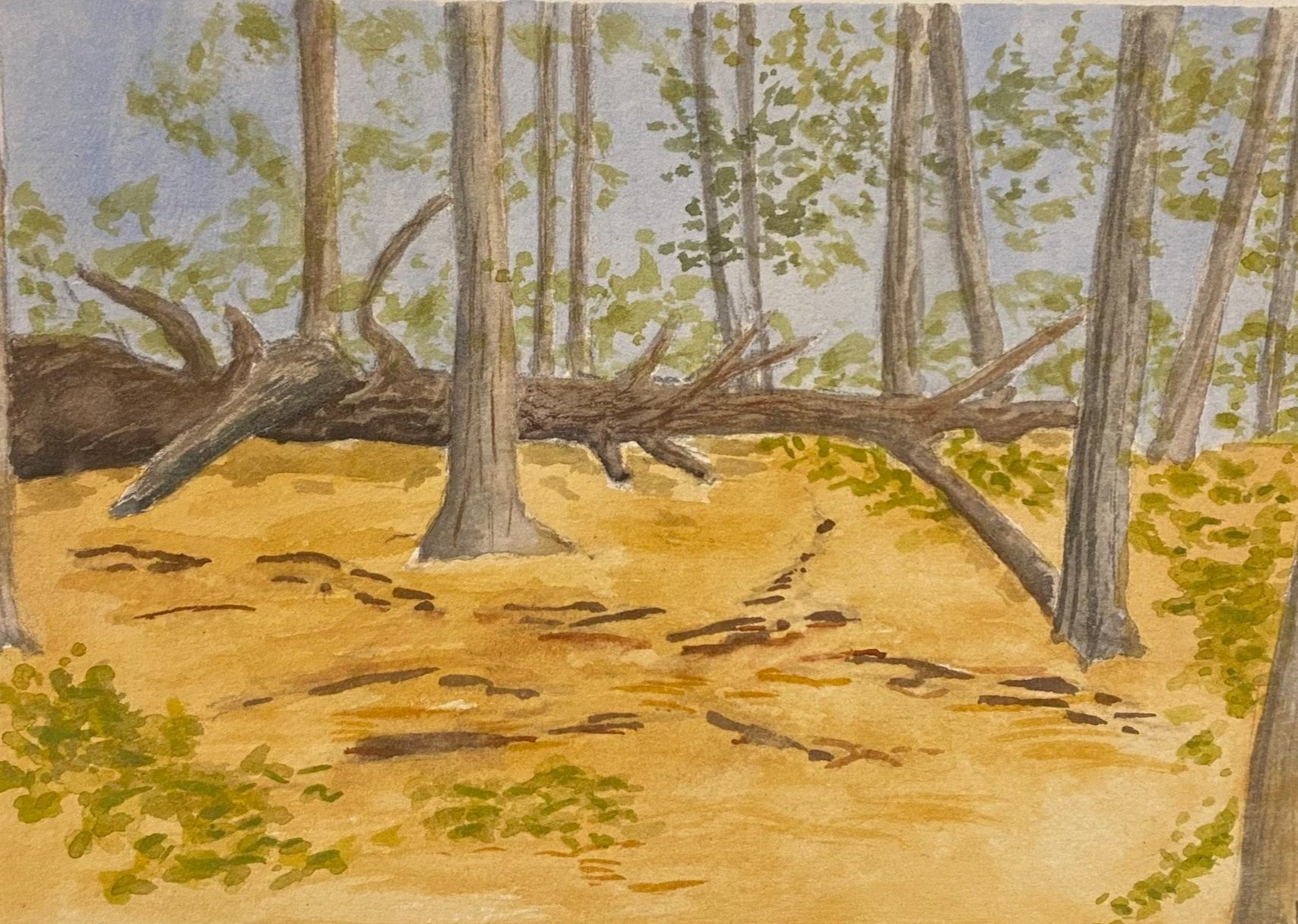 Generations+5x7+watercolor+for+sale.jpg