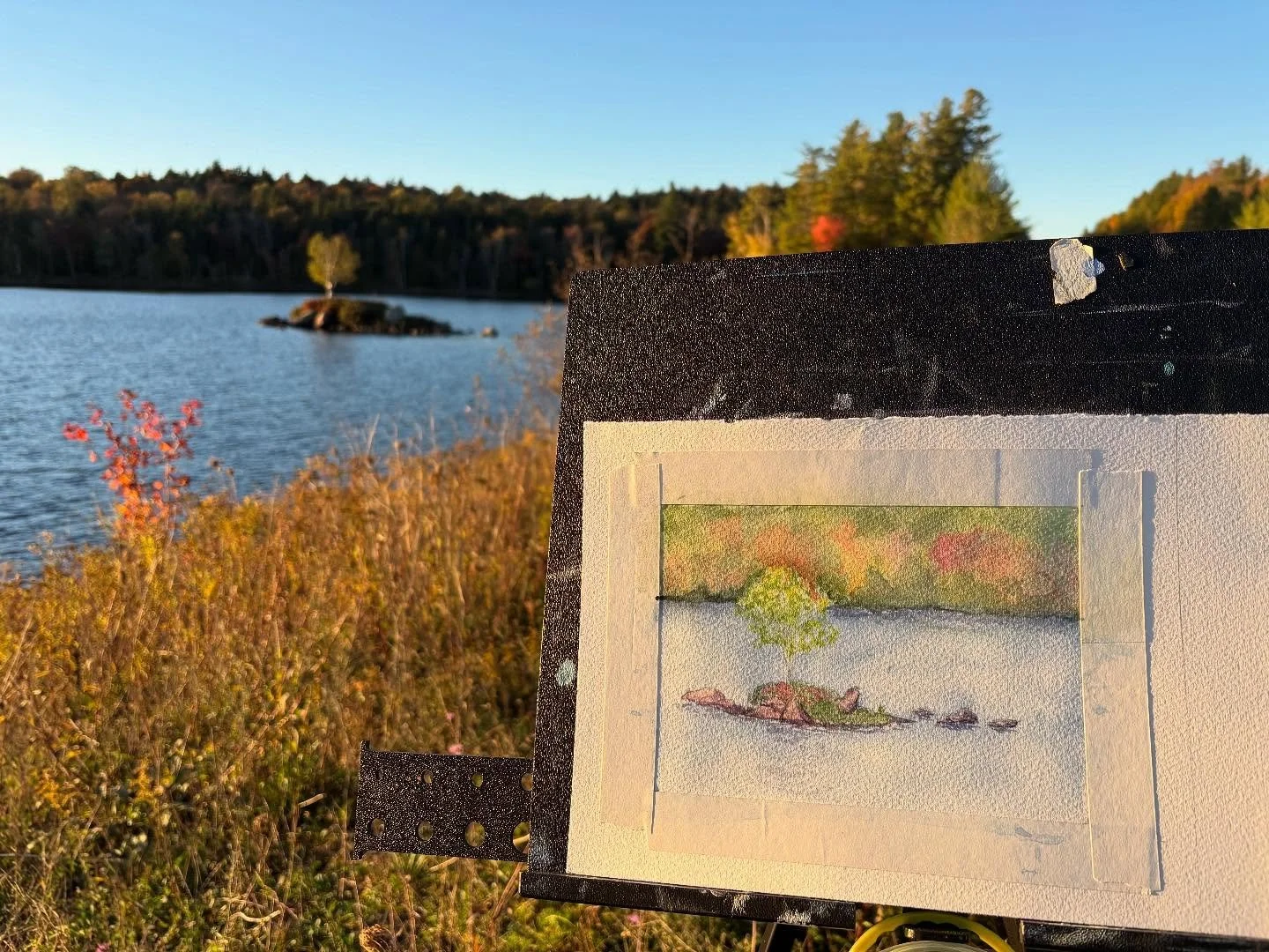 Where the ducks fish. 
#stradaeasel Day 30
One of two for day one of Tupper Lake Plein Air Festival.  Come to the reception Friday night to see them all.