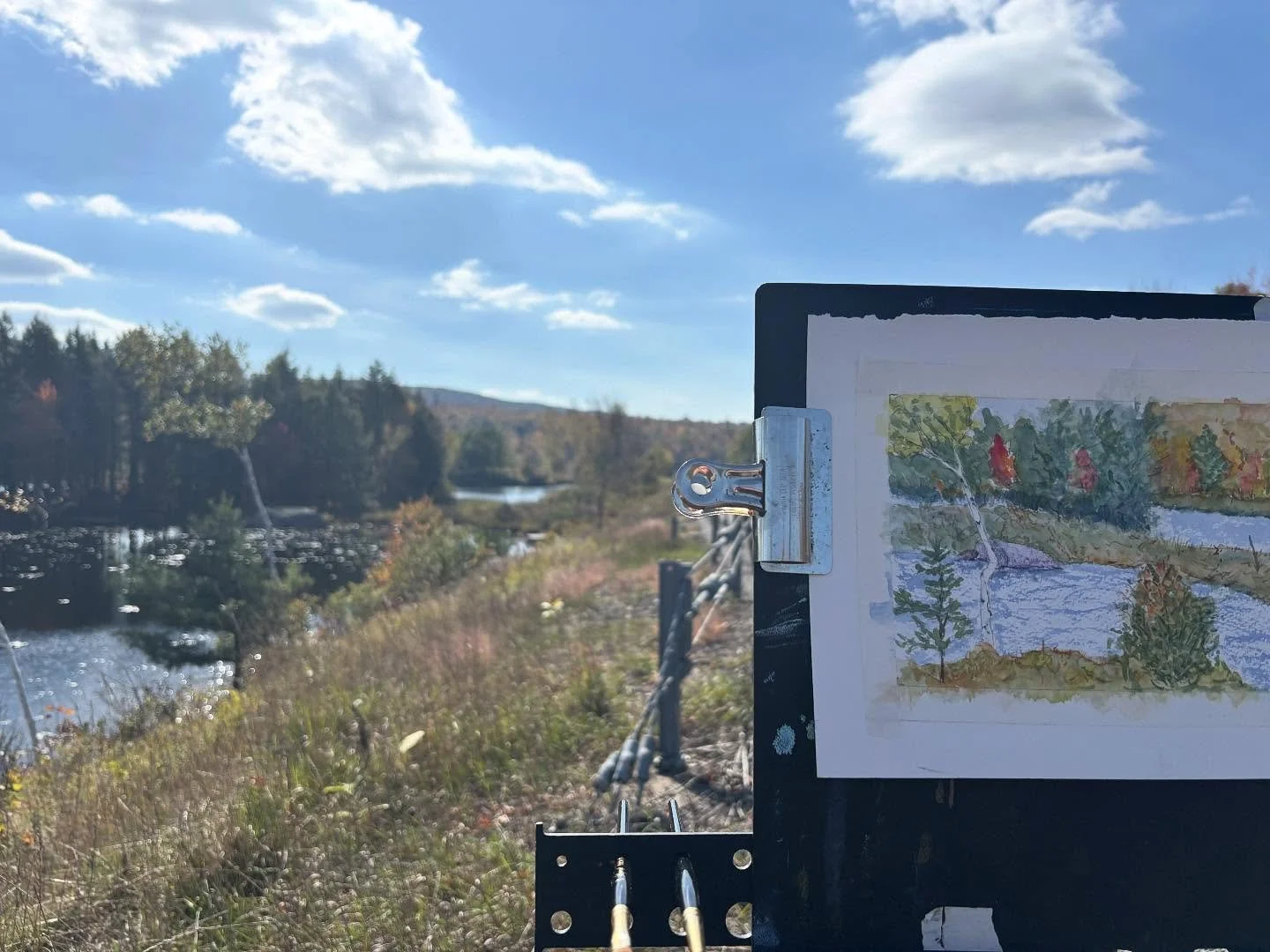 No passage here&hellip;

#watercolor #pleinair #adirondacks #davidcrowellfineart