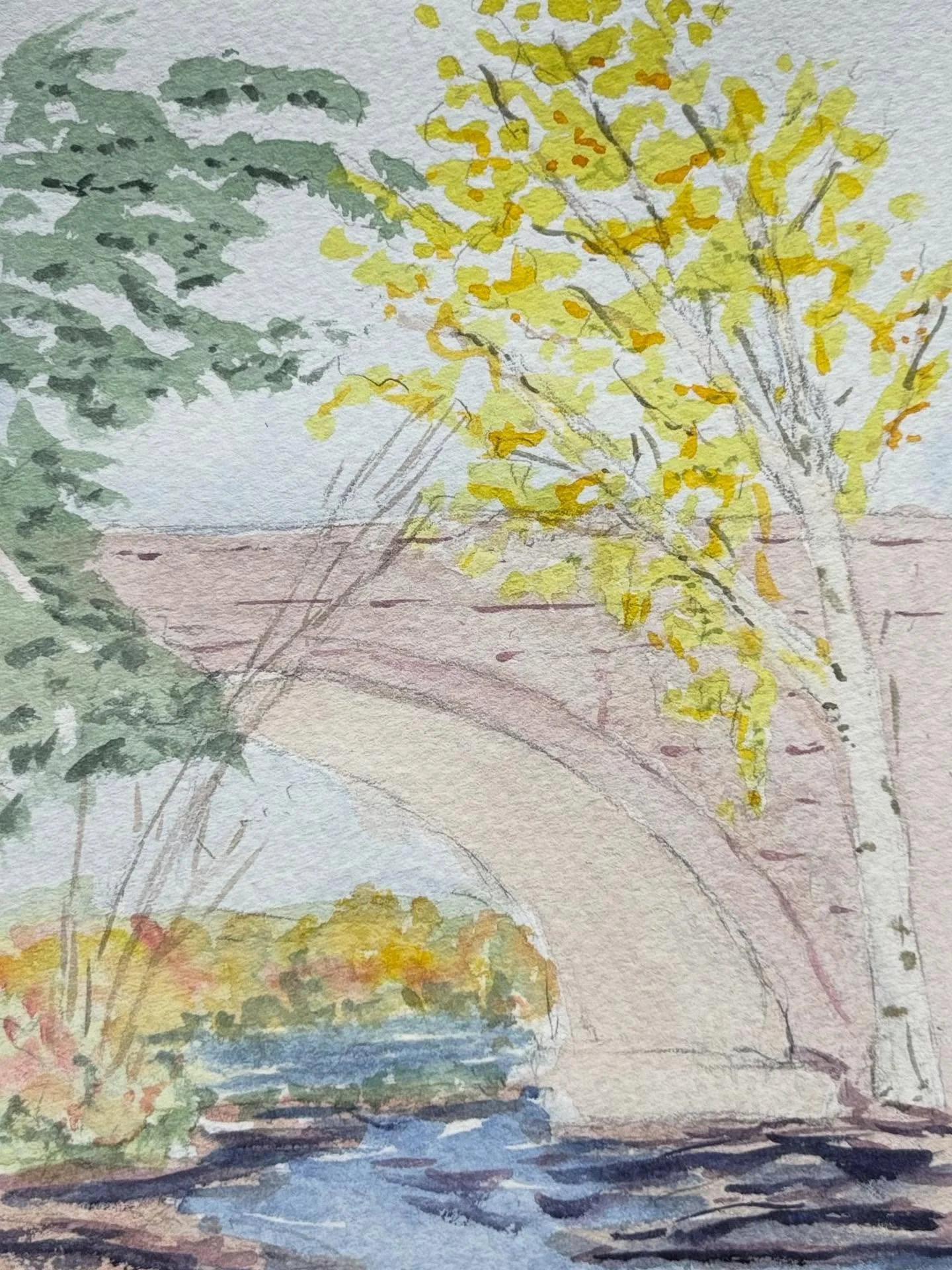 Big River Bridge and Birch, 7x5 plein air watercolor. 
My final piece for the Tupper Lake Plein Air Festival. The show is up until five today at Tupper Arts 

#pleinair #watercolor #adirondacks #tupperlake #davidcrowellfineart