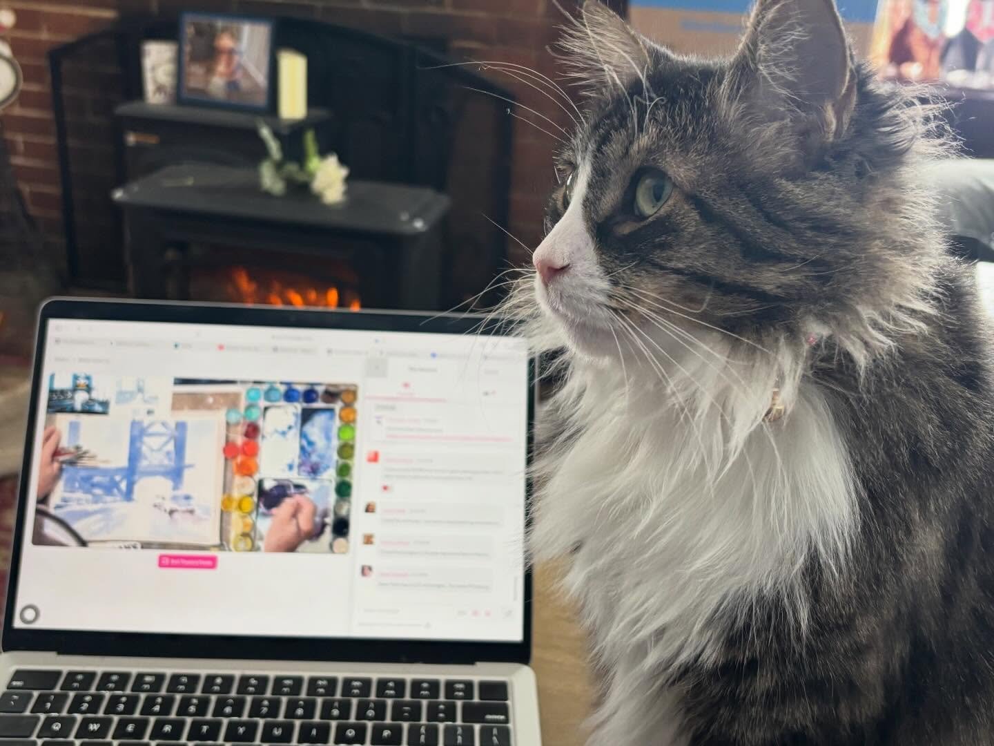 Even the cat likes #wcl26 
#streamlinepublishing