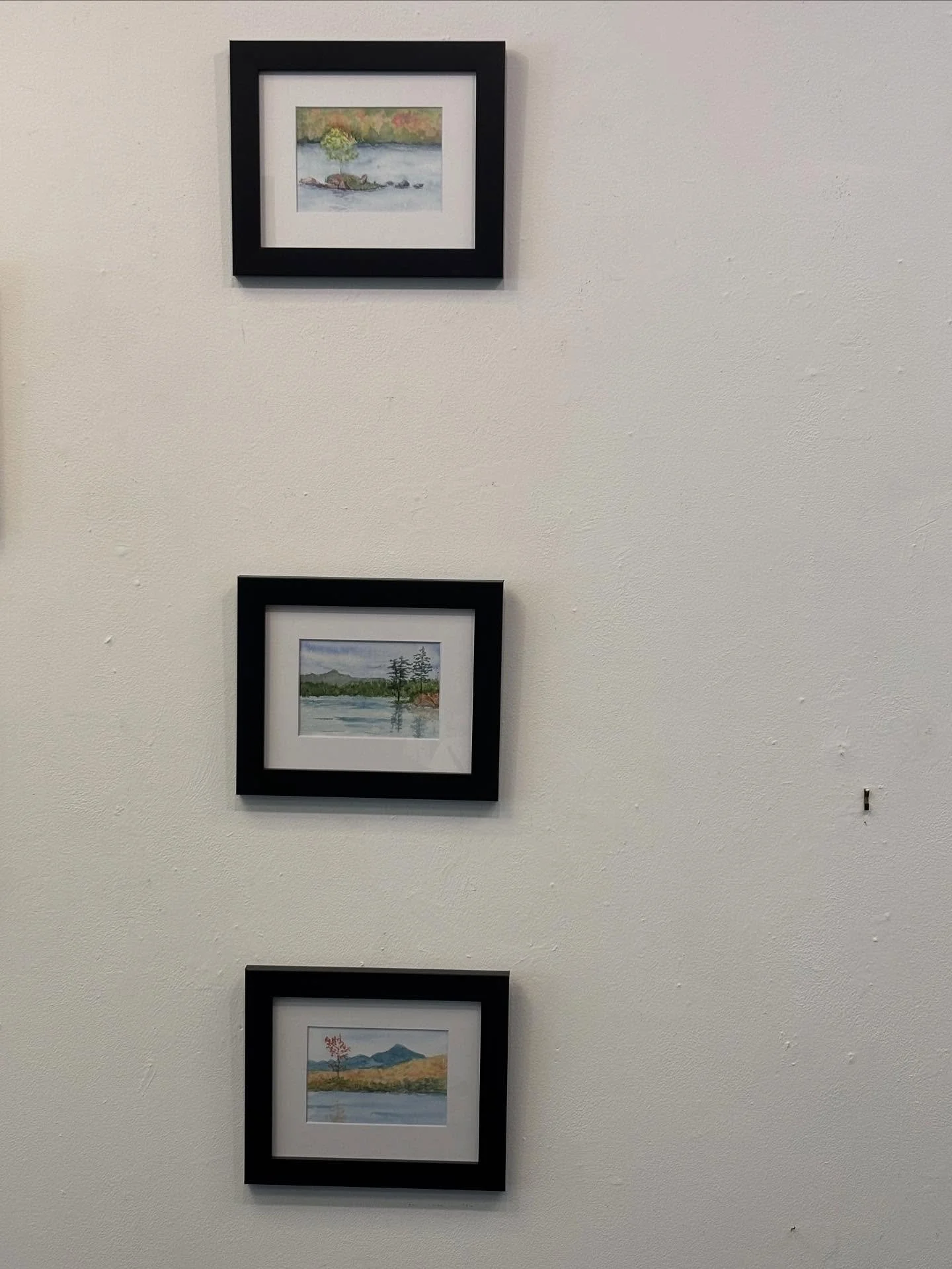 On the wall for jurying. @northwindfineartsgallery 

#pleinair #watercolor #davidcrowellfineart