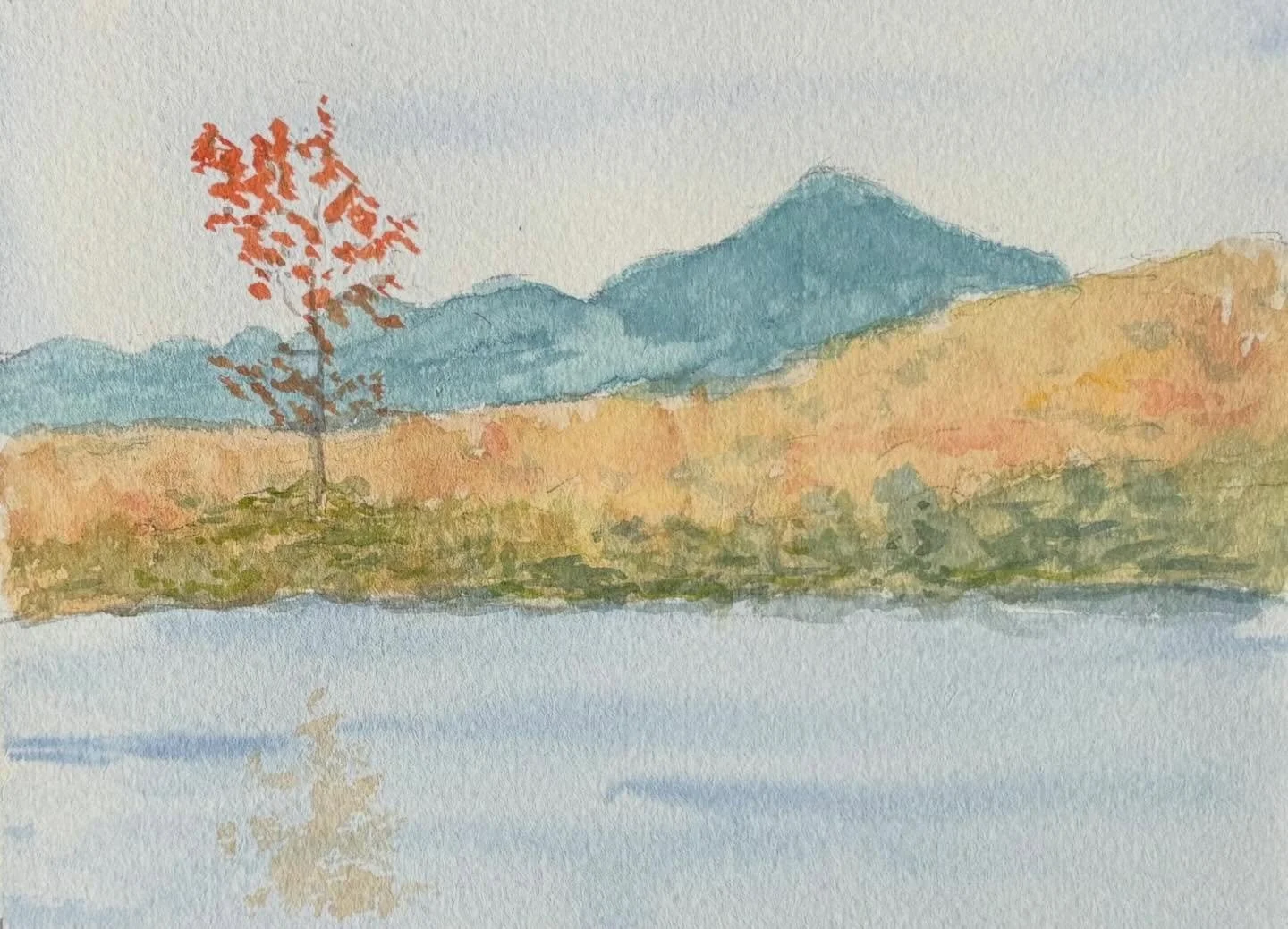 Pierce field Flow, 5x7. Currently in the Massena Artists Association show at the Massena Public Library. Available.  Post cards are available at Creative Spirit at SLCArts in Potsdam 

#watercolor #pleinair #pleinairmagazine #pleinairmag #davidcrowel