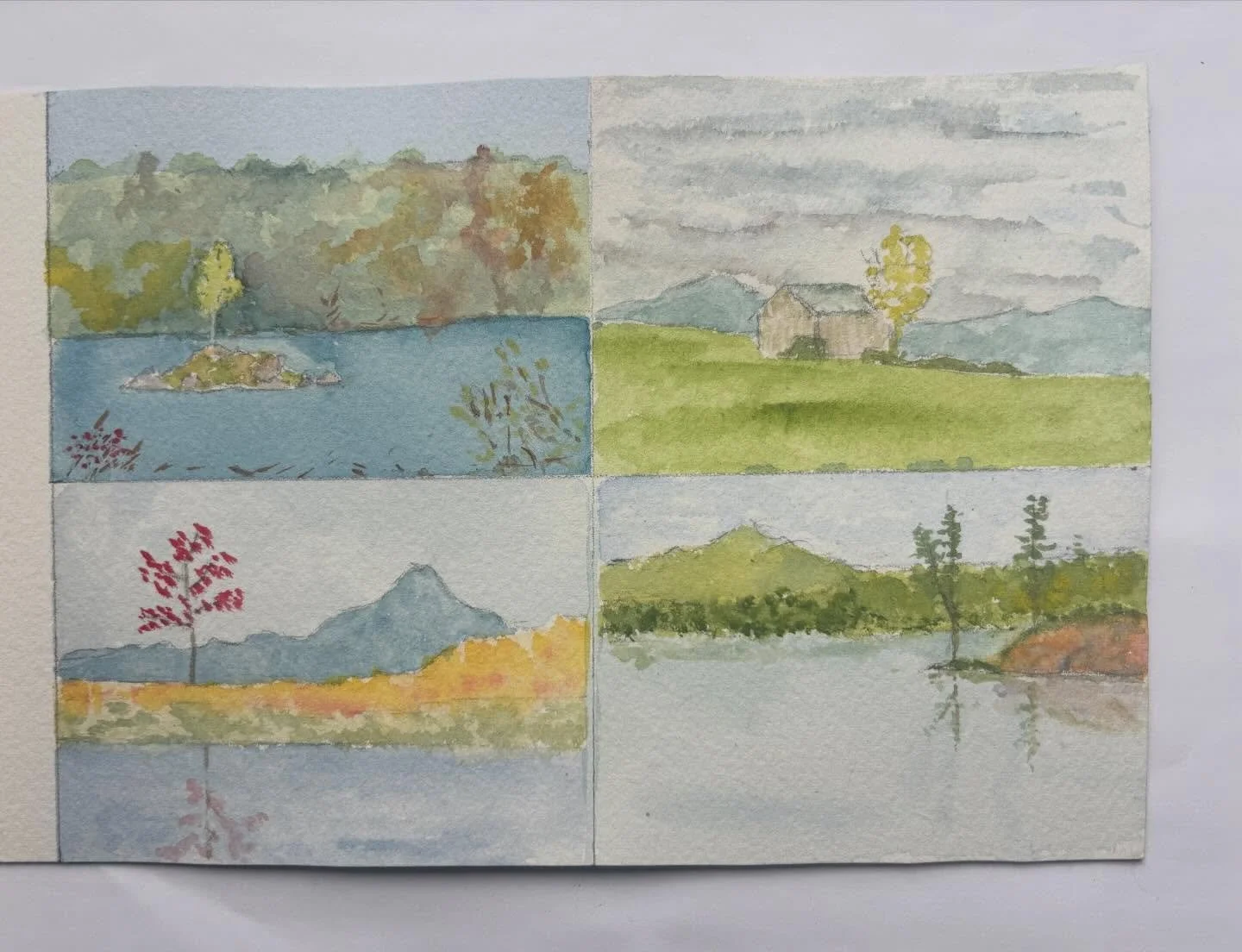 Trading card sized magnets.  Hand painted originals. Available for sale. 

#aceo #watercolor #handpainted #artforsale #davidcrowellfineart