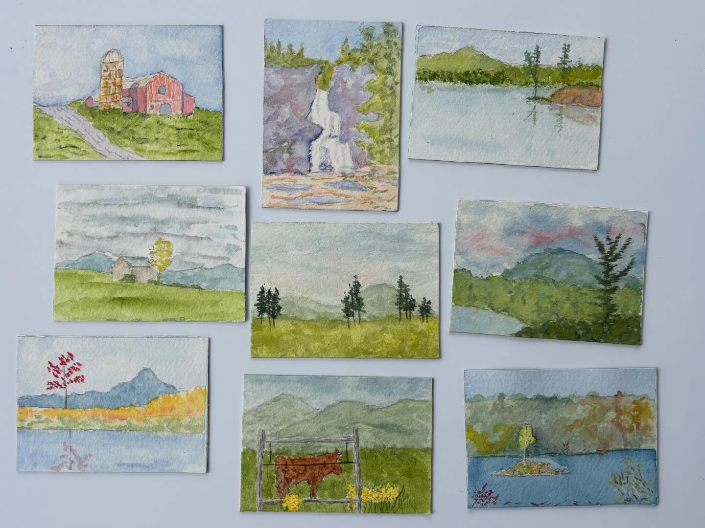 Magnets!! Now available, hand painted, watercolor originals on magnetic backing. 3.5x2.5 trading card sized. Each is an original painting, not a print. 

#magnet #watercolor #adirondackmountains #aceo #davidcrowellfineart