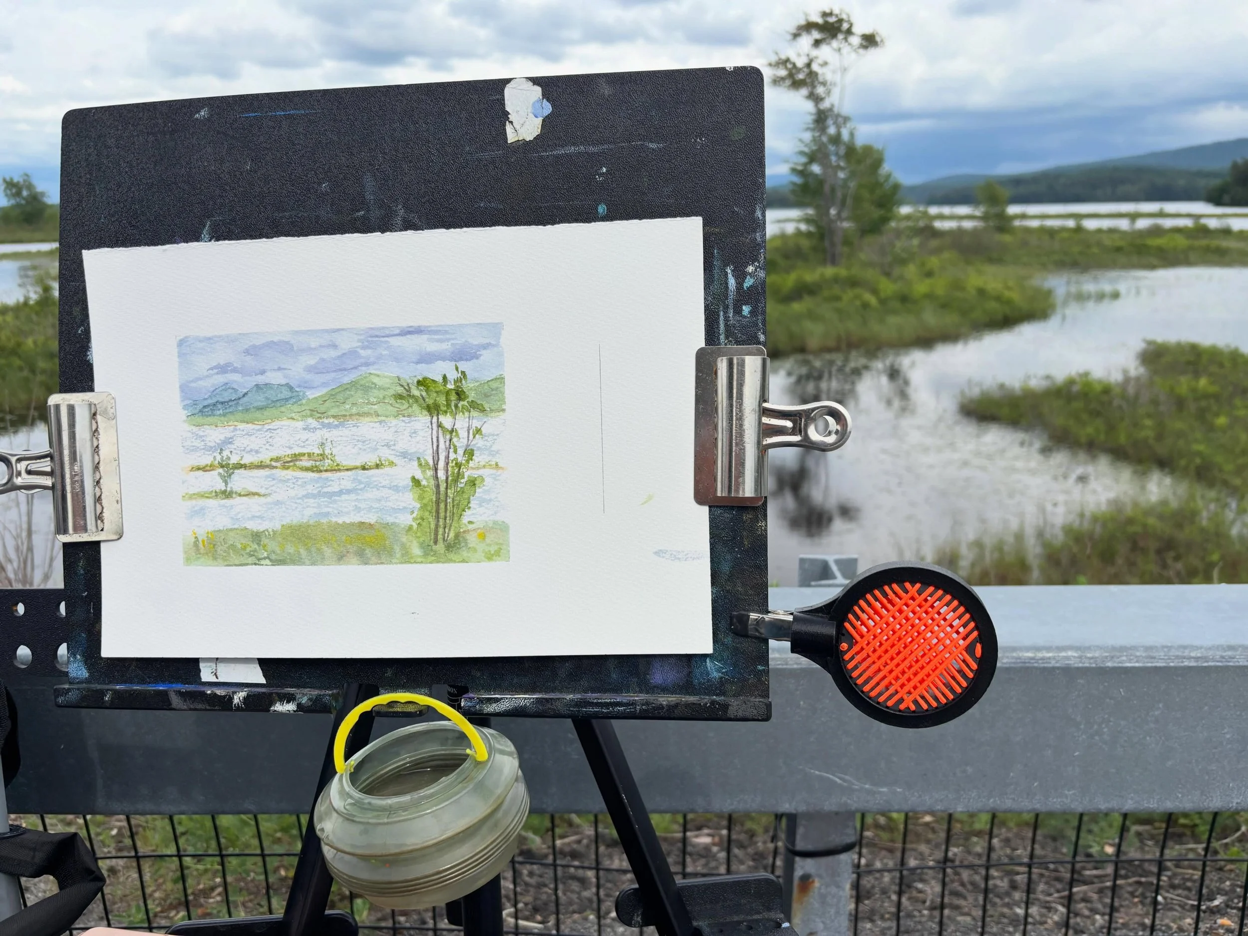 Today&rsquo;s study. At the Flow in Tupper Lake

#pleinair #watercolor #adirondacks #davidcrowellfineart