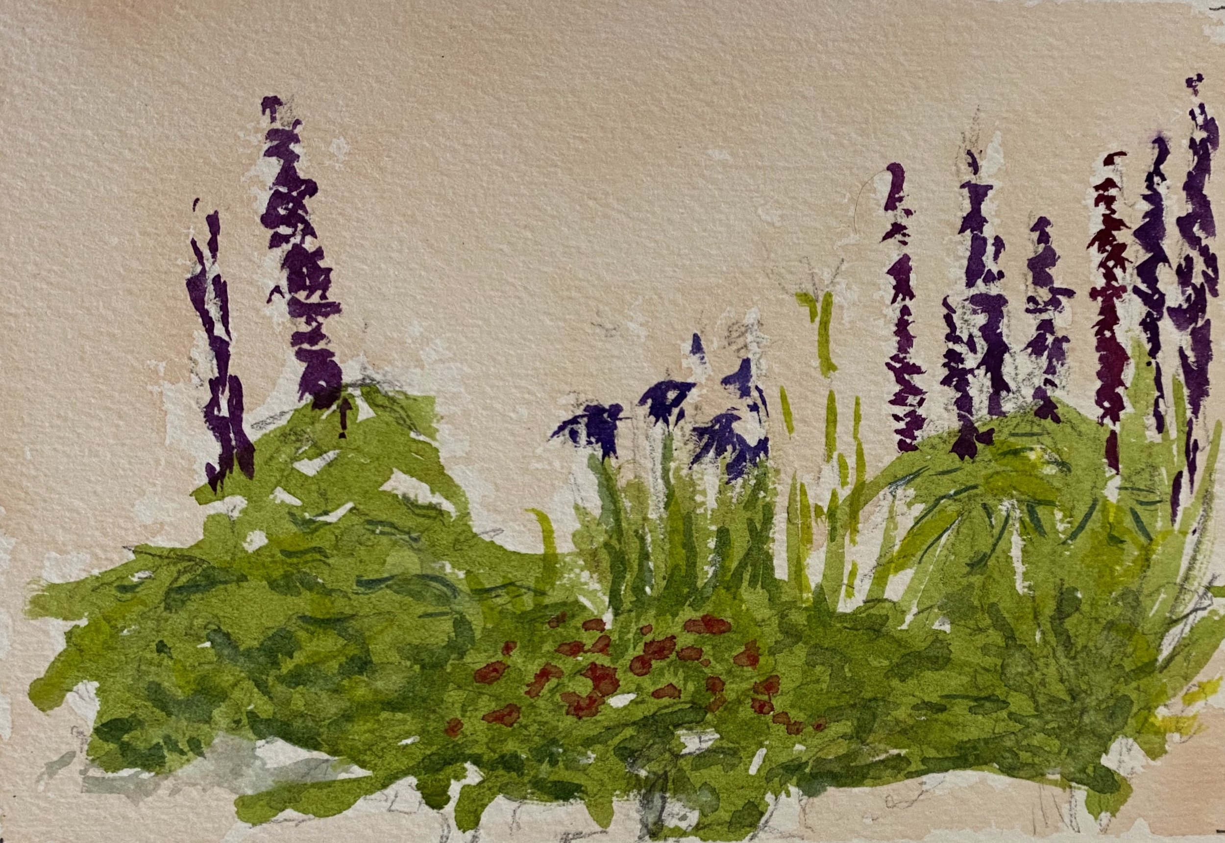 Lupines 5x7 watercolor for sale.jpeg