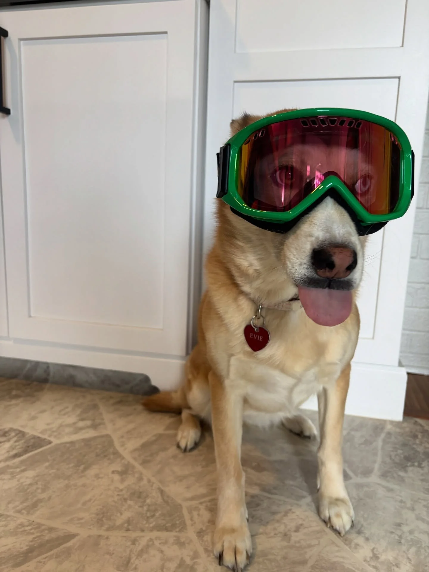 what y&rsquo;all getting into today🤔 evie is excited for apr&egrave;s ski. we&rsquo;re also excited for downing a whole bottle of prosecco with friends under the winter sun. @pizzabakerwfo &amp; DJ Bohoman start at 4. open now. let&rsquo;s dance and