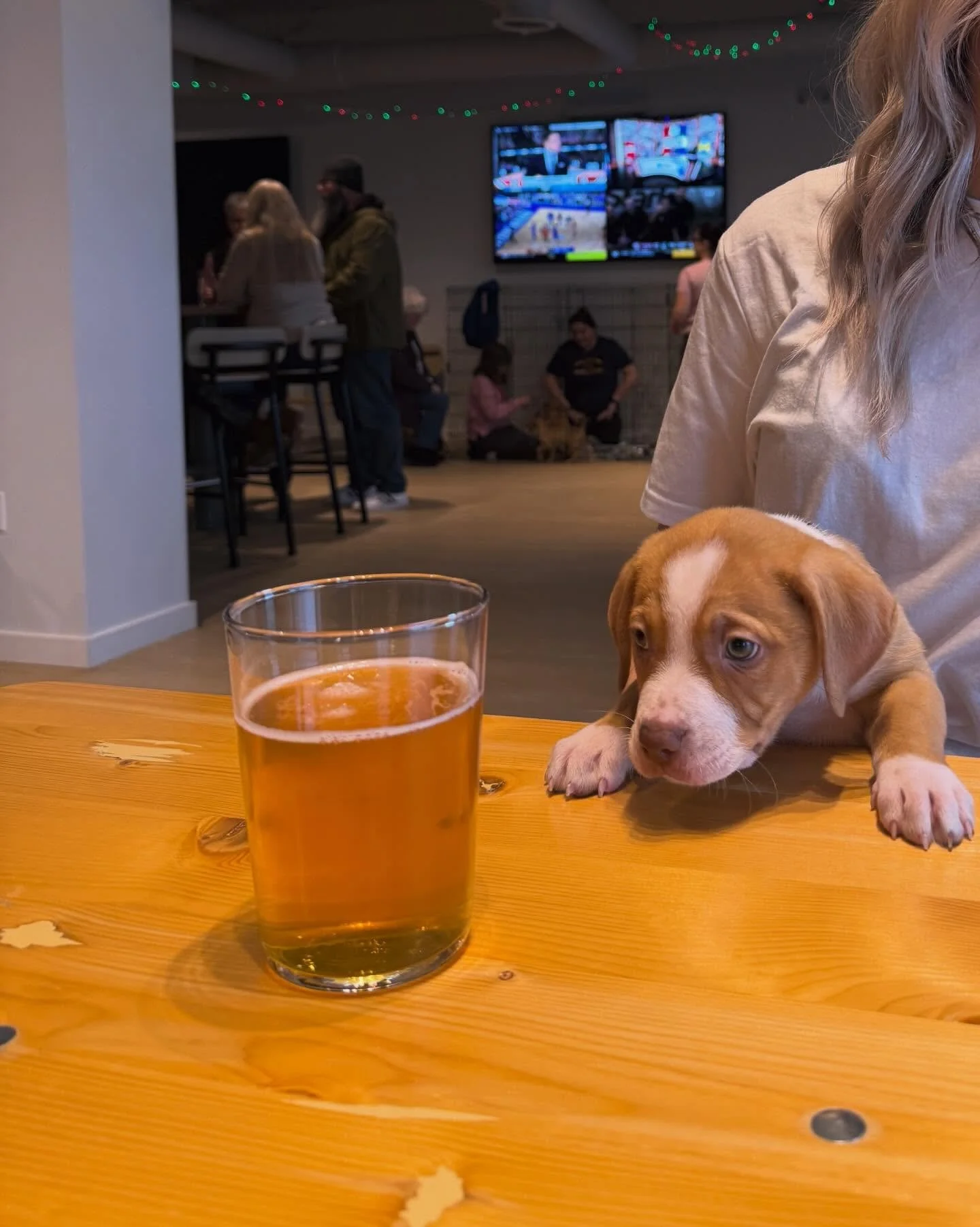Us locked in on that Thursday pint 🍻 // B1G basketball tourney will be on in the side lounge 2-midnight