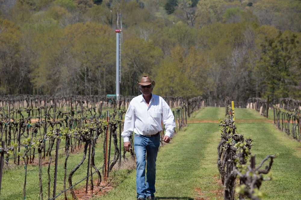 Pierre in the vineyard at Kiepersol
