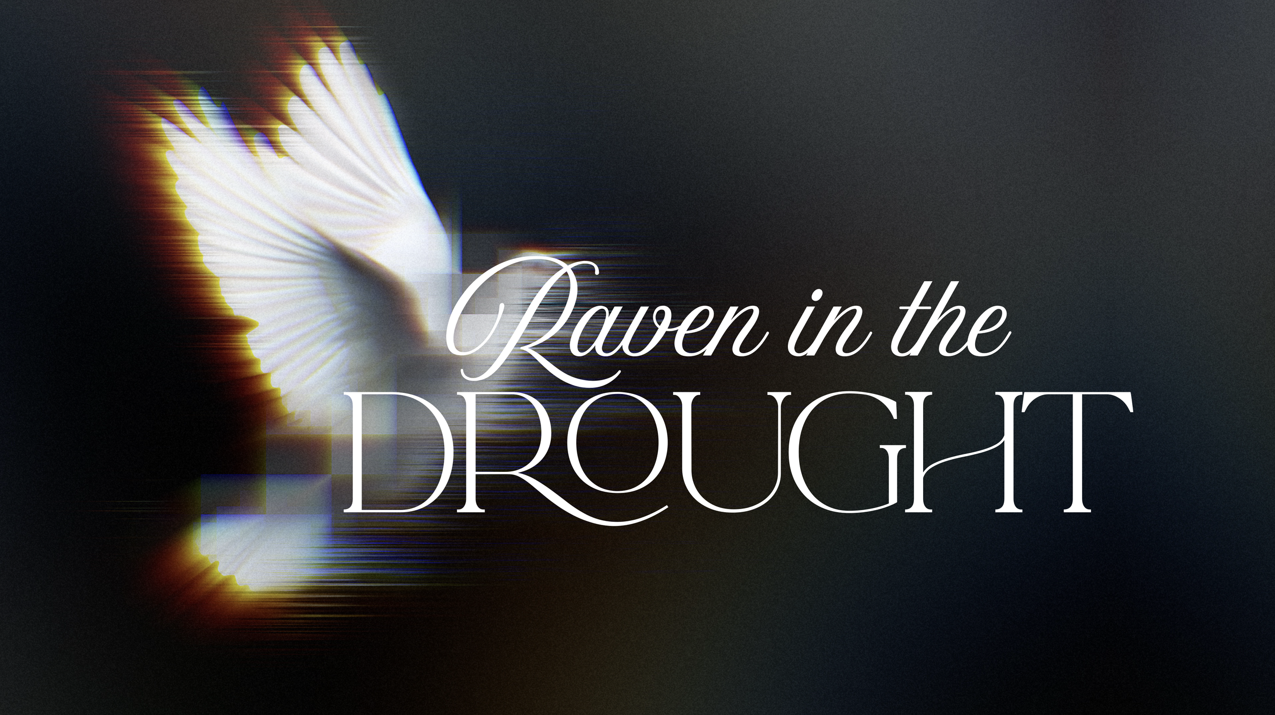 RAVEN IN THE DROUGHT