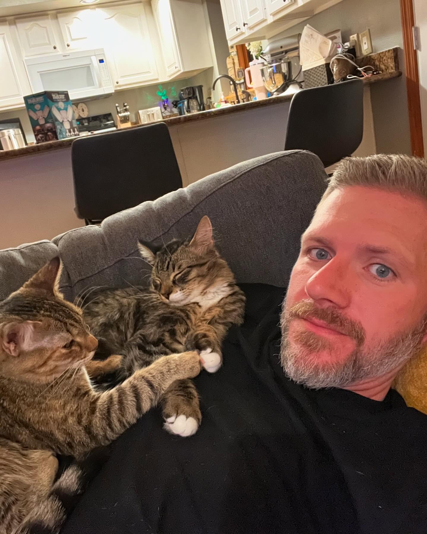 Cats.jpg