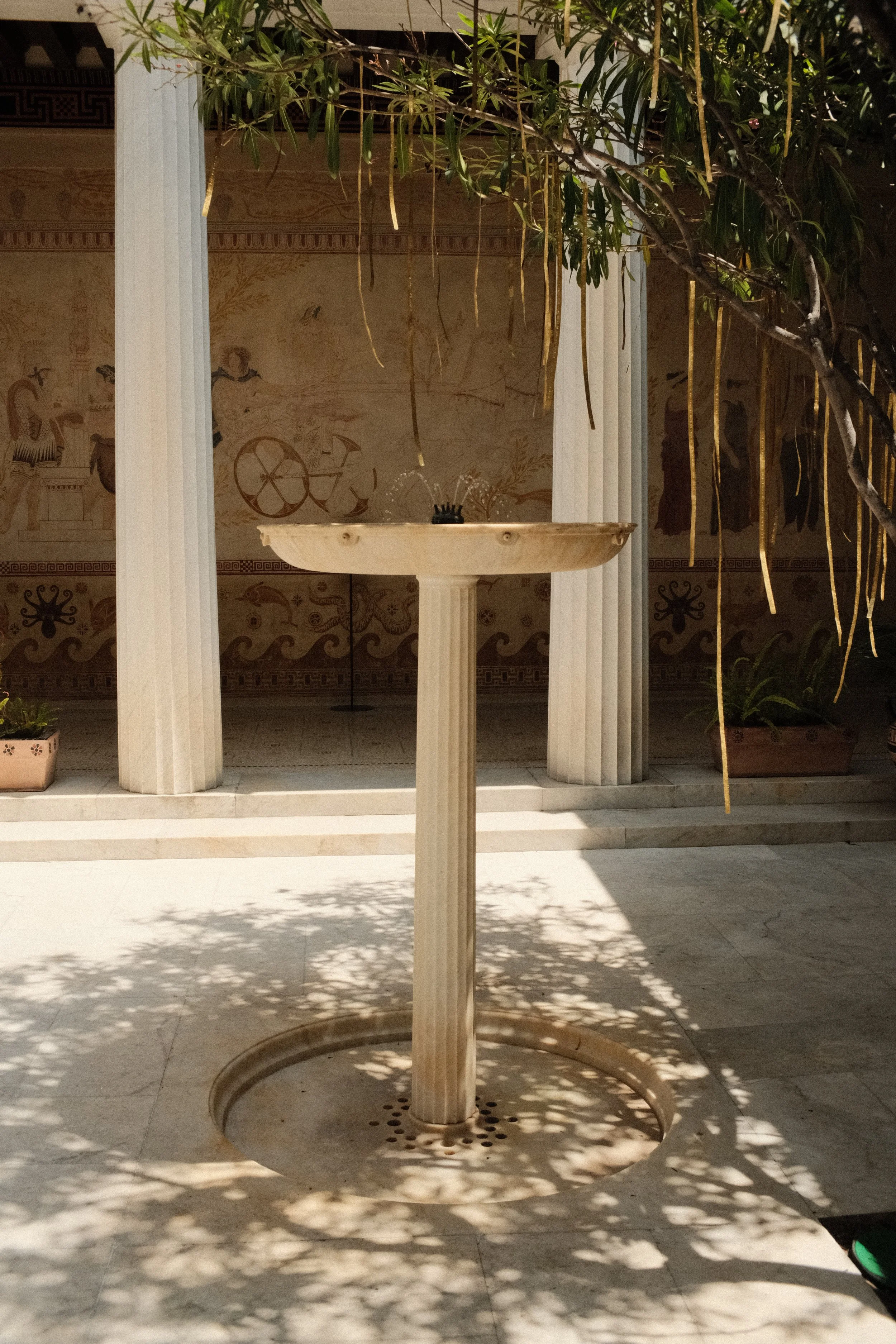 DSCF2780.JPG