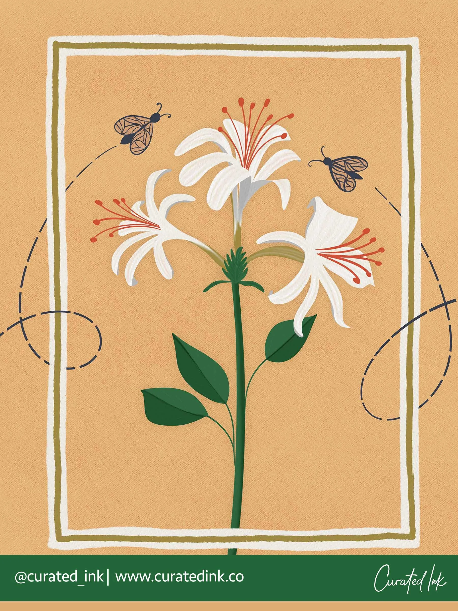 BT-A1100 Honeysuckle Moth