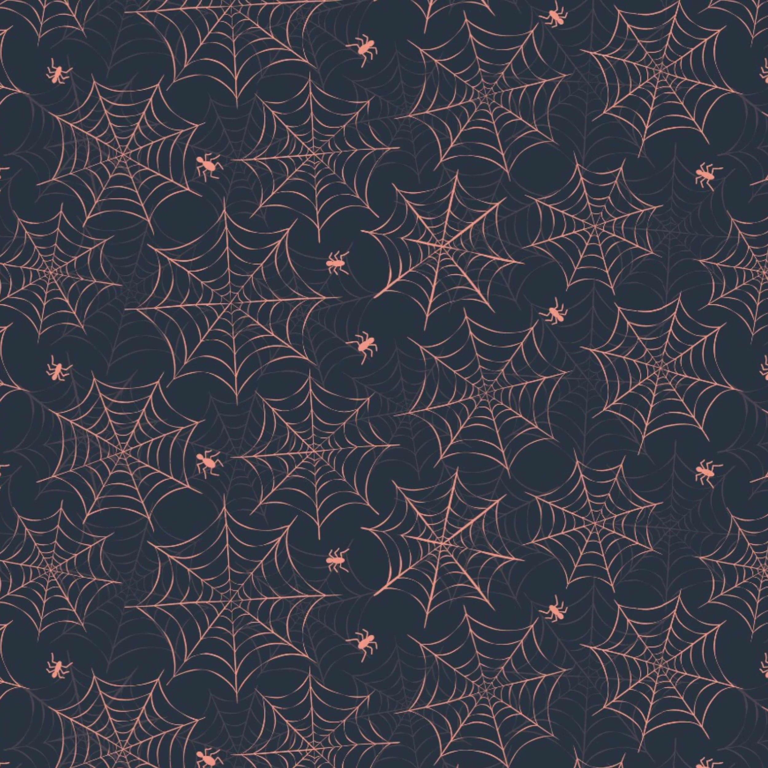 BT26-1542_Spider_Webs.jpg