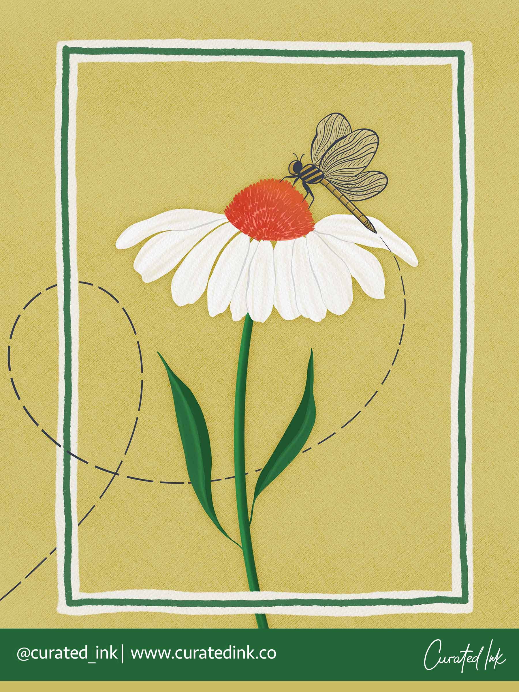 BT-A1090 Coneflower Dragonfly