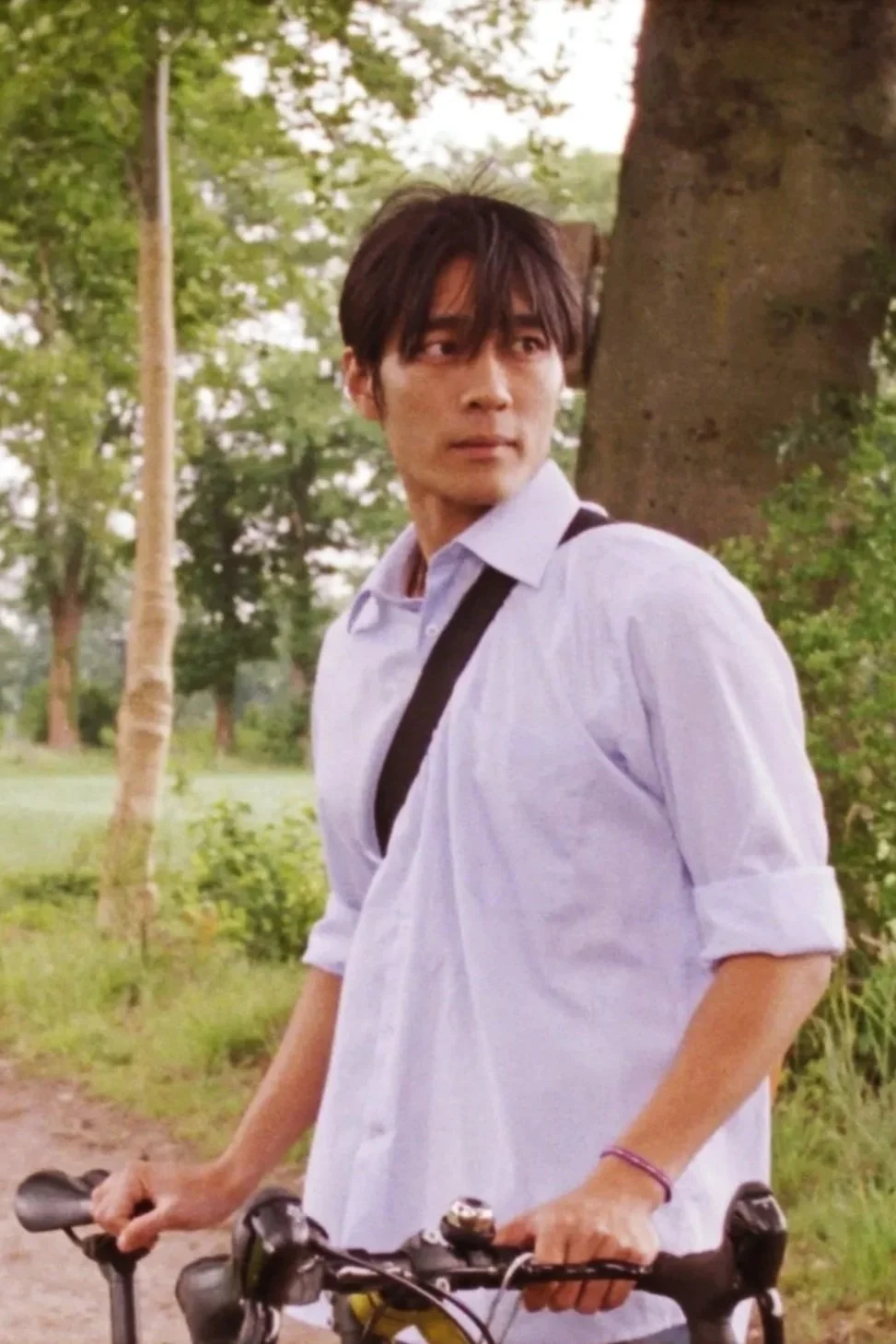 ZILVERREIGER (Petronella Van der Hallen)