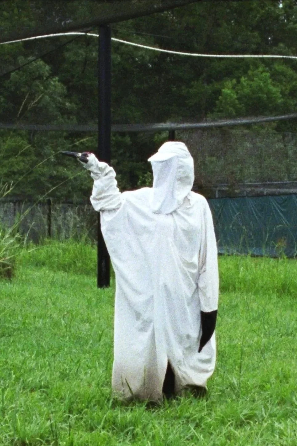 HELLO?! (Sofie Benoot)