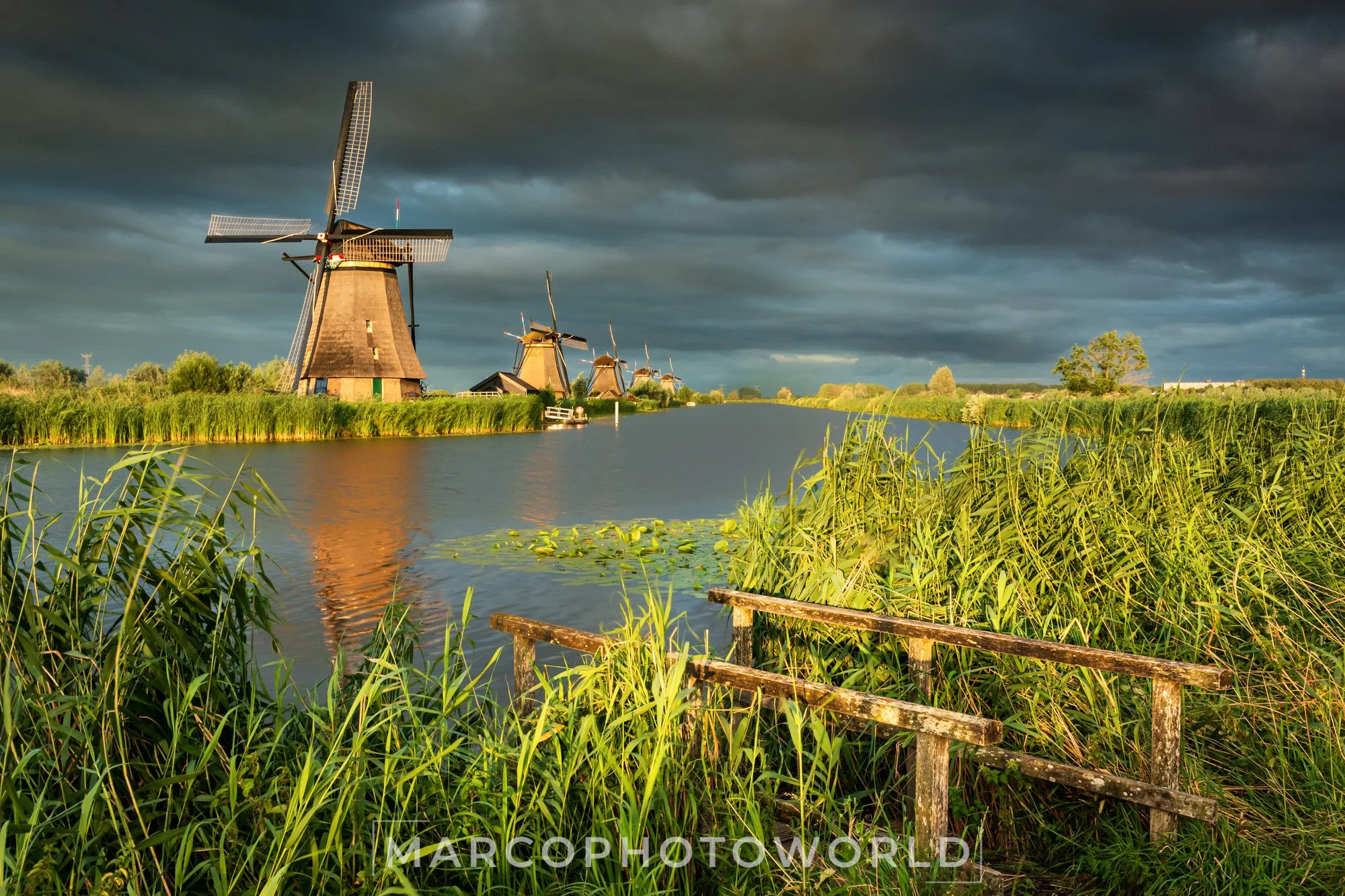 IMG_2014-bewerkt.jpg