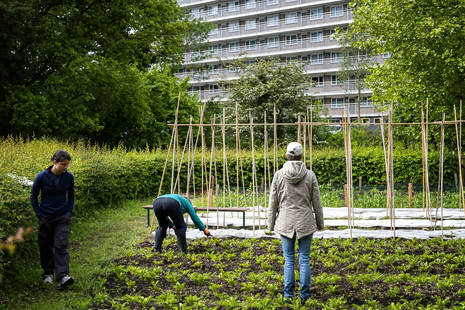 5R8A0972-bewerkt.jpg