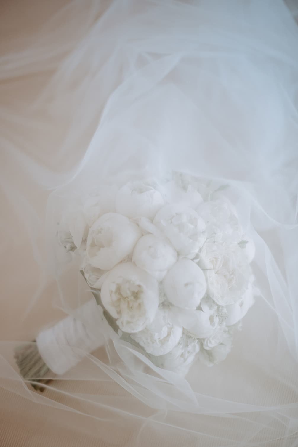 A bunch of white cauliflower heads inside a translucent plastic bag.