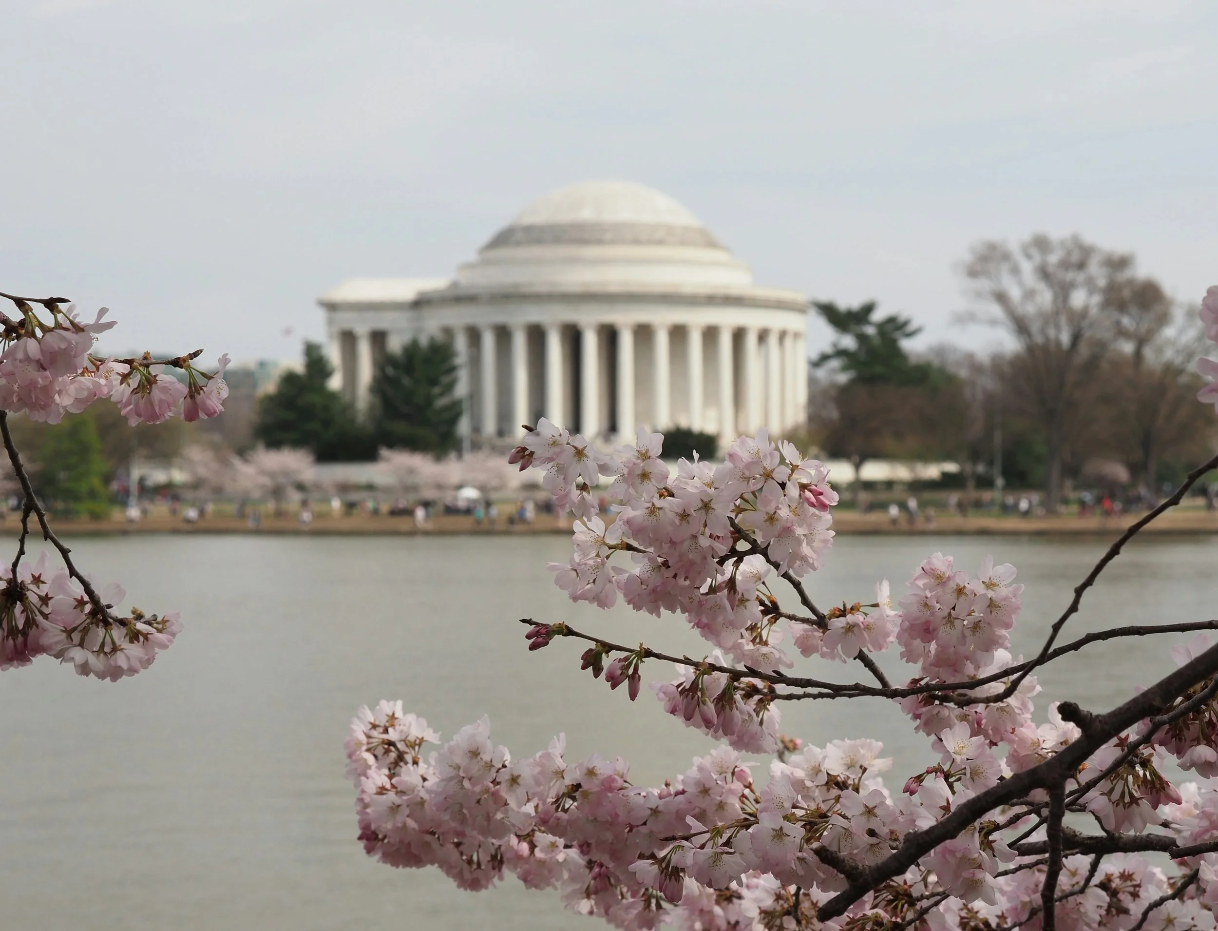 Backdoor Roth IRA: Mistakes I've Seen