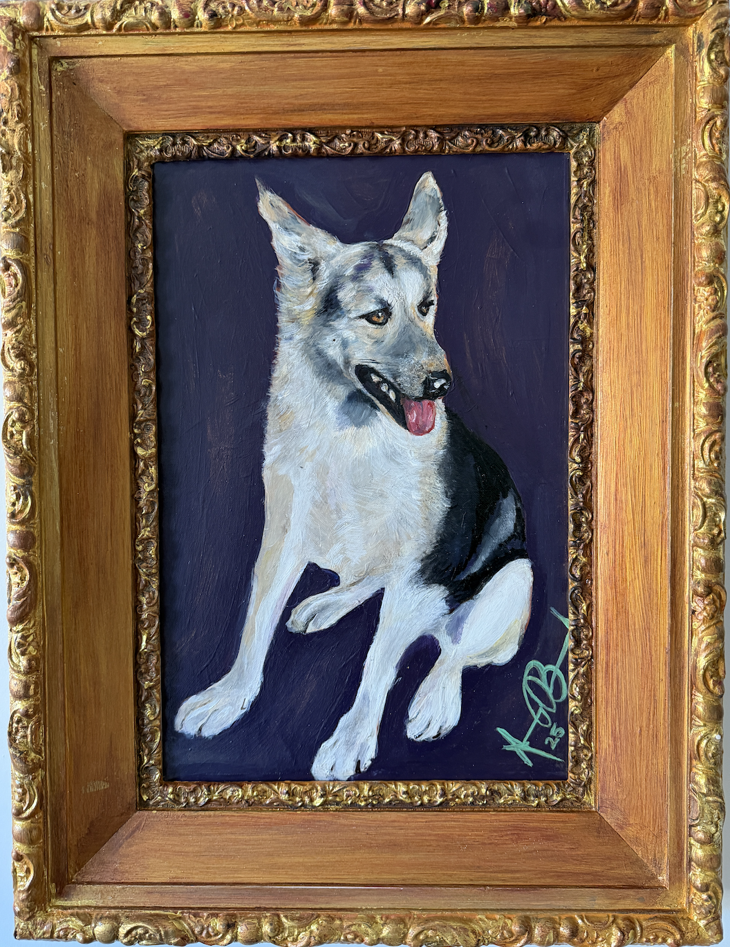 Dog Portraits