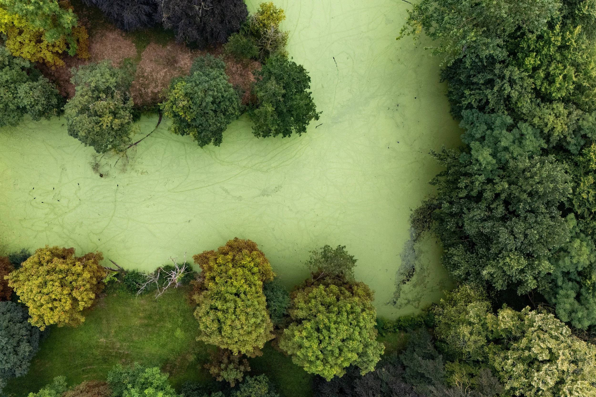 Kleinschalige residentiële setting van Salux met omringend groen.