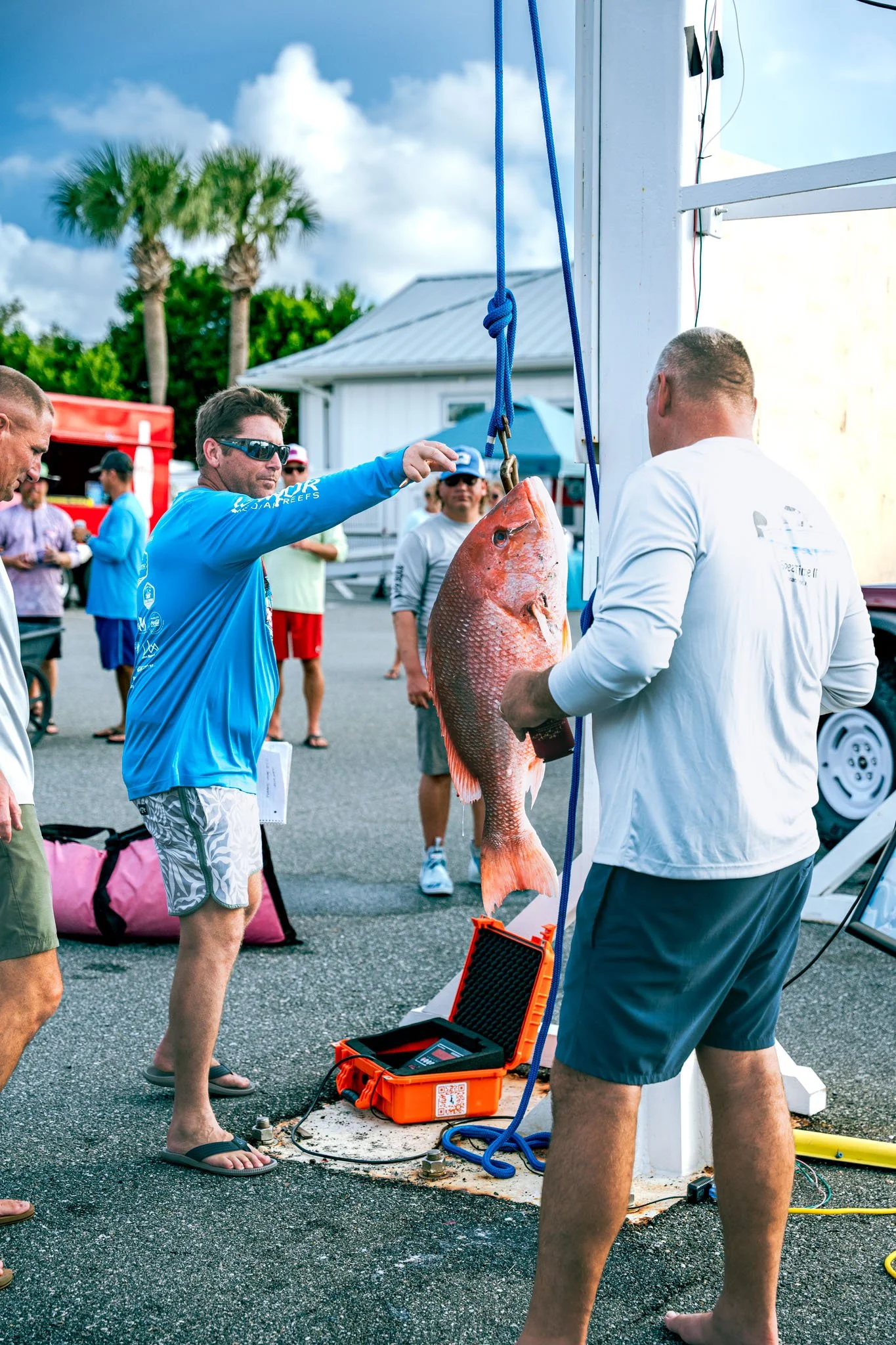 People at the Warrior Memorial Reefs Reels and Spears Fishing Tournament event at Point South Marina - Bay Point (Panama City Beach), handling a large fish that is hanging from a scale, with a bright sky, palm trees, and a building in the background.