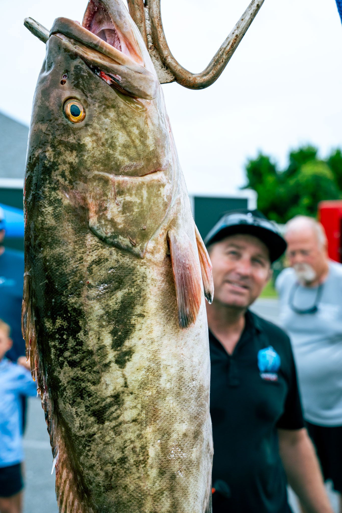 Close-up of a large fish with its mouth open, showing its gills and eye, hanging vertically, with a group of people in the background, outdoors.