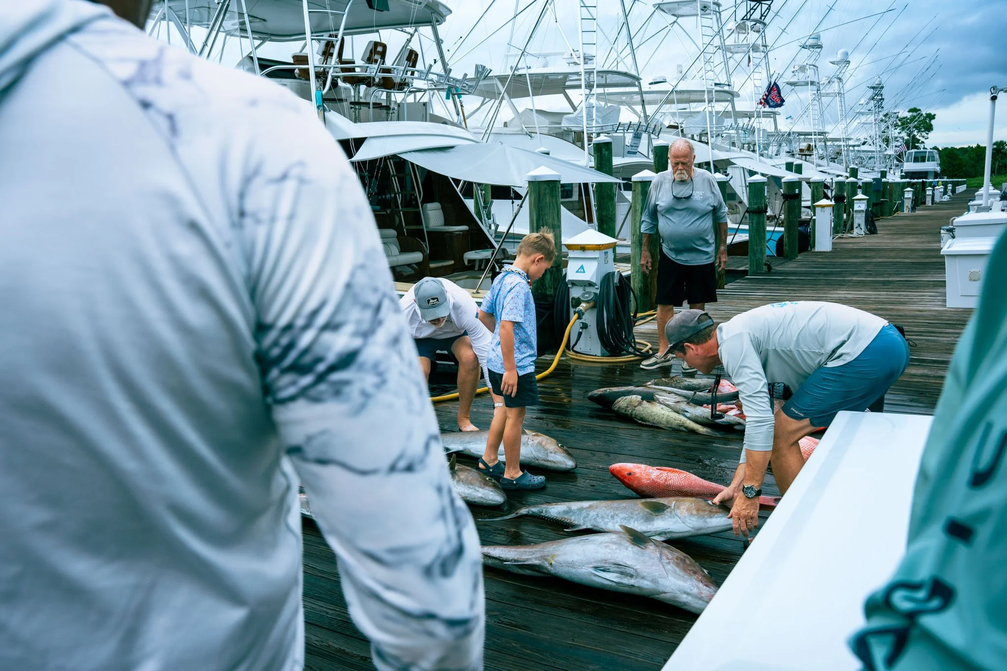 People at a marina, preparing fish on a wooden dock next to boats, with some individuals bending down to handle the fish and others standing nearby.