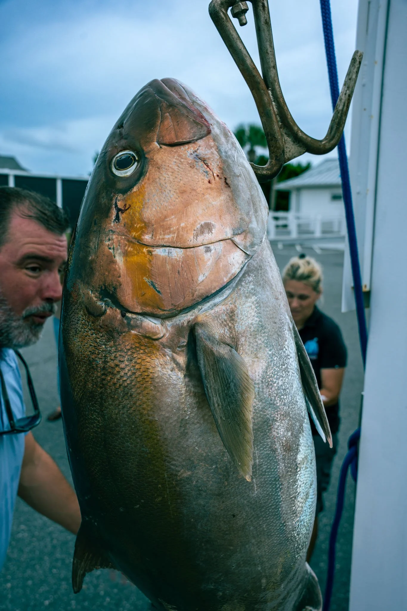 A large fish hanging from a metal hook, with two people in the background at an outdoor location.