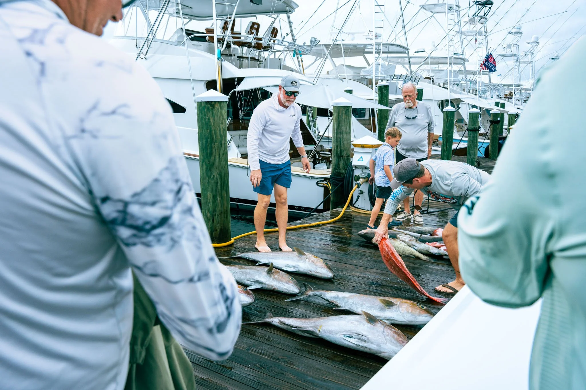 People on a dock catching fish, with several boats docked in the background.