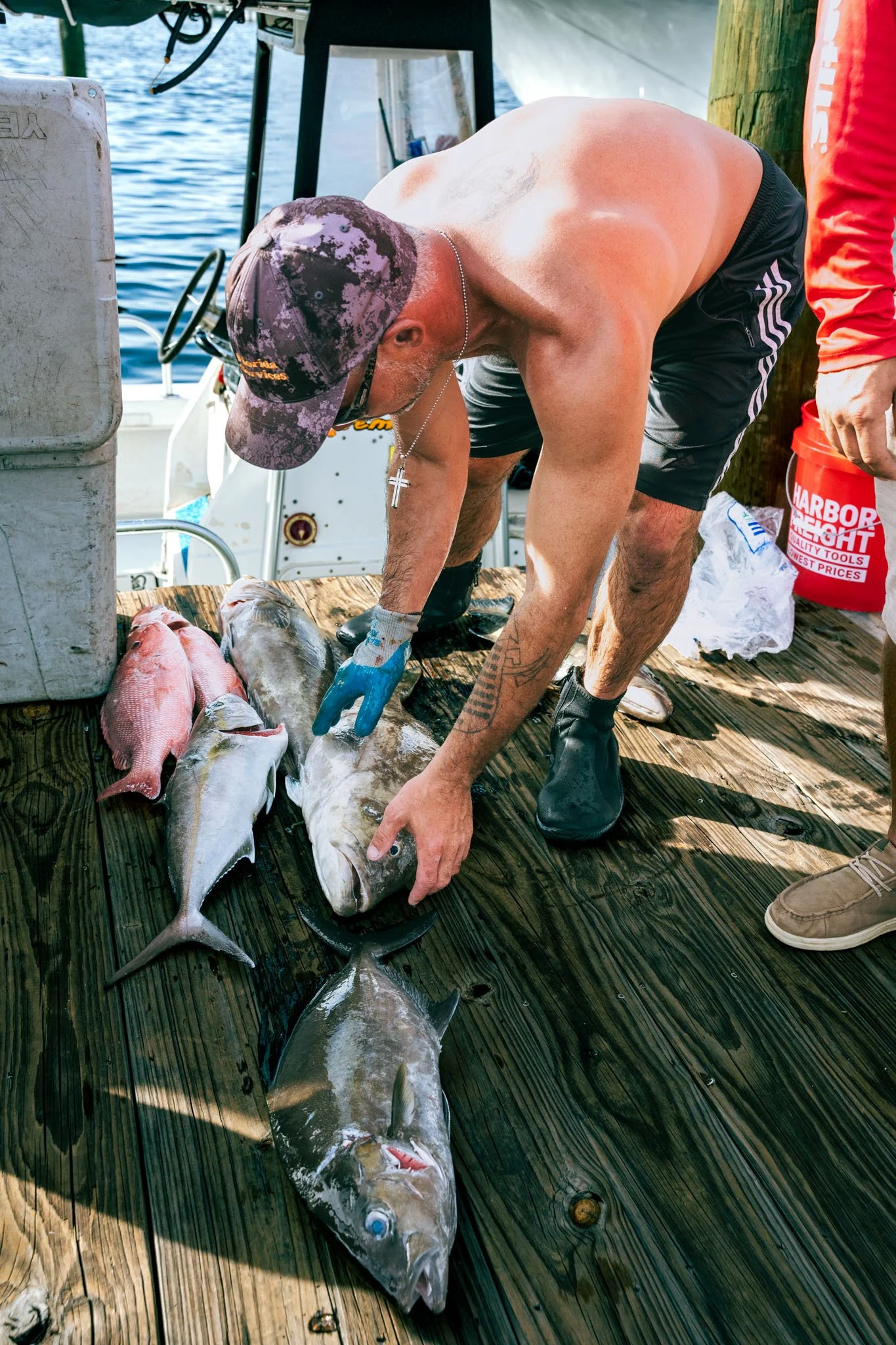 A muscular man wearing a camouflage cap, black shorts, and gloves is bent over on a wooden dock, handling a large fish with a gray and white body. Several other fish lie on the dock, and a red Harbor Freight bucket is nearby. The background shows wat