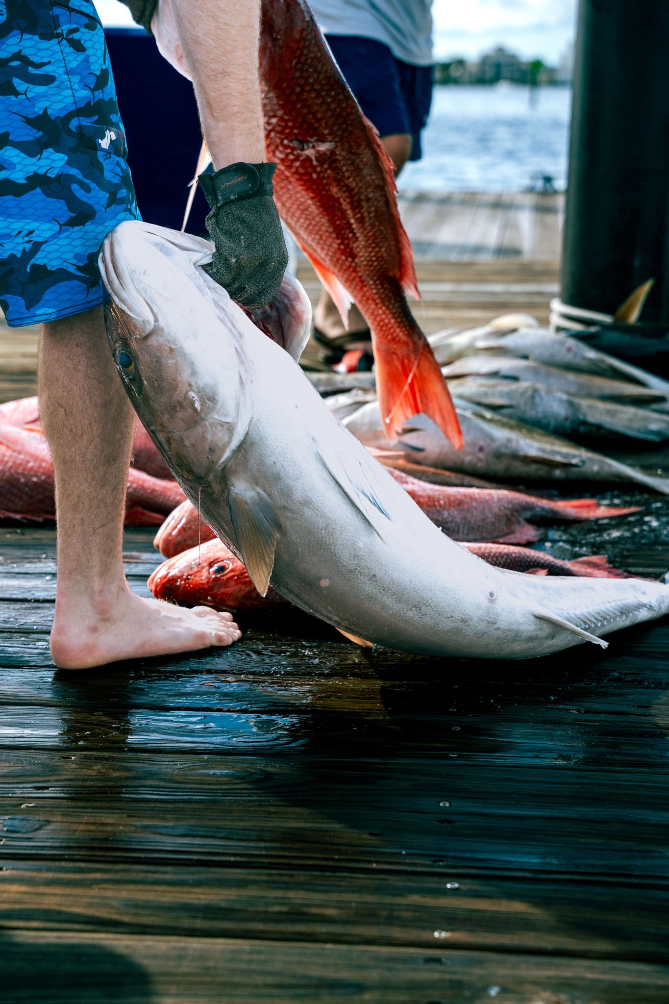 Person in blue camouflage shorts and a black glove holding a large fish on a wooden dock at Point South Marina - Bay Point (Panama City Beach) by the water with other fishermen and boats in the background.
