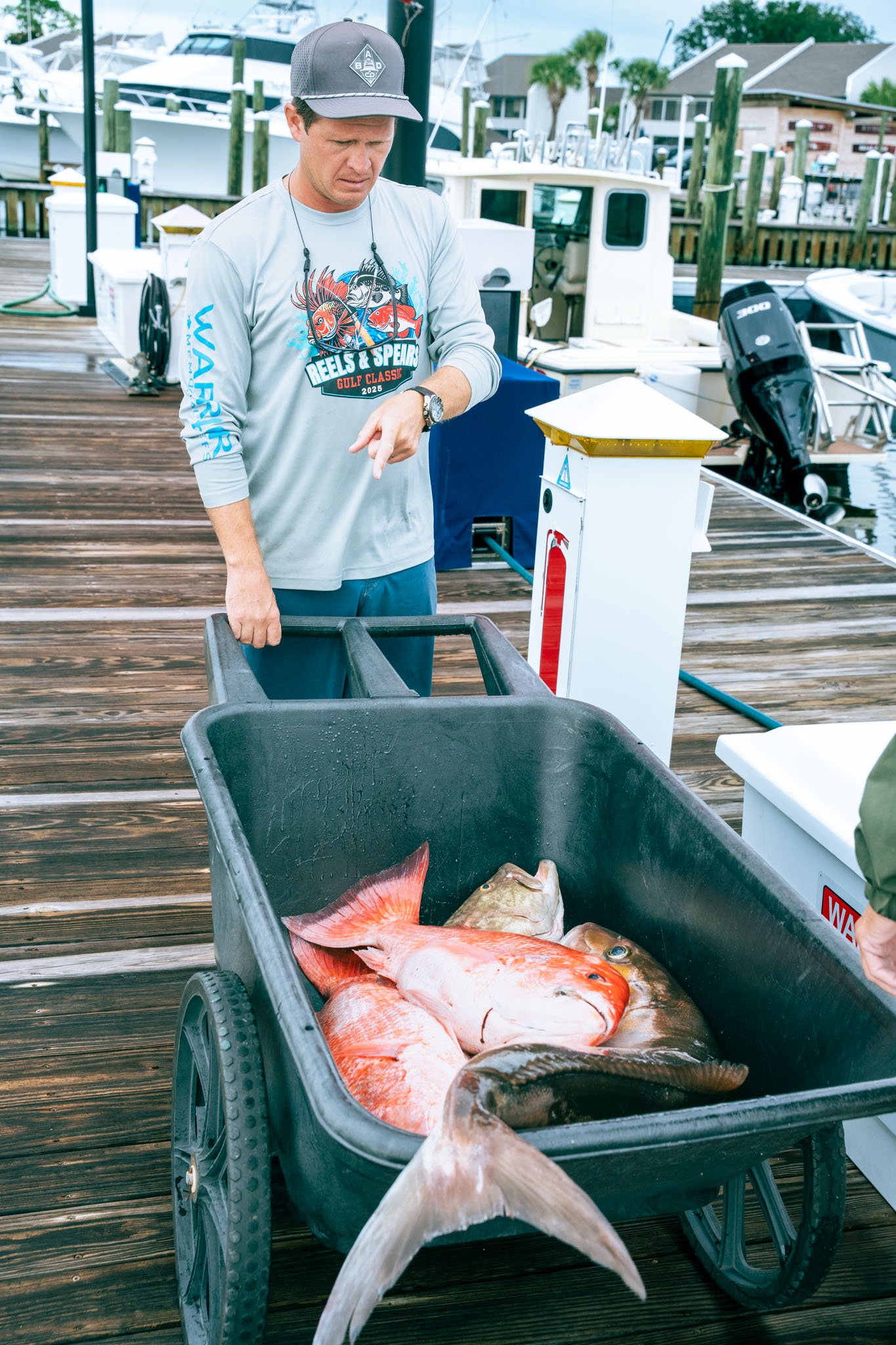 A man wearing a light gray long-sleeve shirt and a cap stands on a wooden dock with boats in the background. He is looking down at a black cart filled with large fish, including a bright orange fish and several other fish with brown or tan coloring.