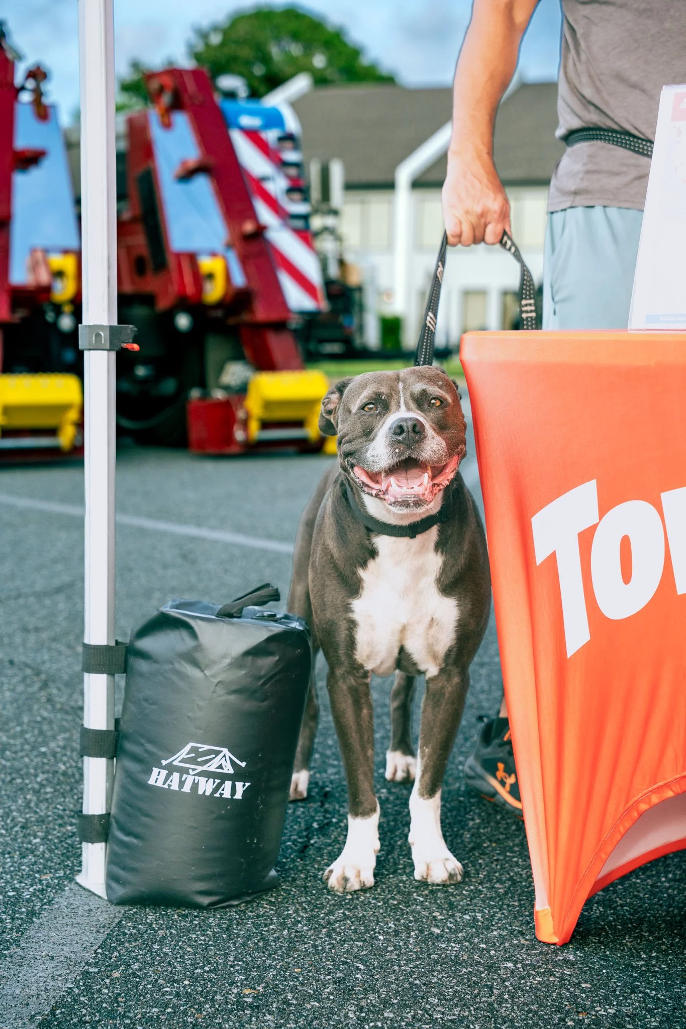 A happy dog standing next to a black dry bag labeled 'HATWAY,' with camping or outdoor gear nearby, at an outdoor event with fire trucks in the background.