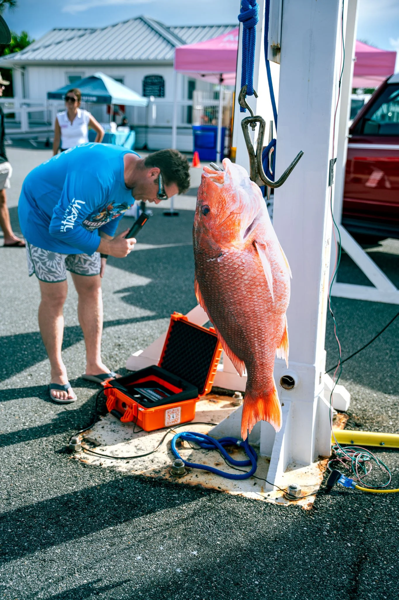 A man is examining a large, freshly caught fish hanging from a mechanical scale at an outdoor event. Another person stands in the background near tents and a building, with equipment and cables around.